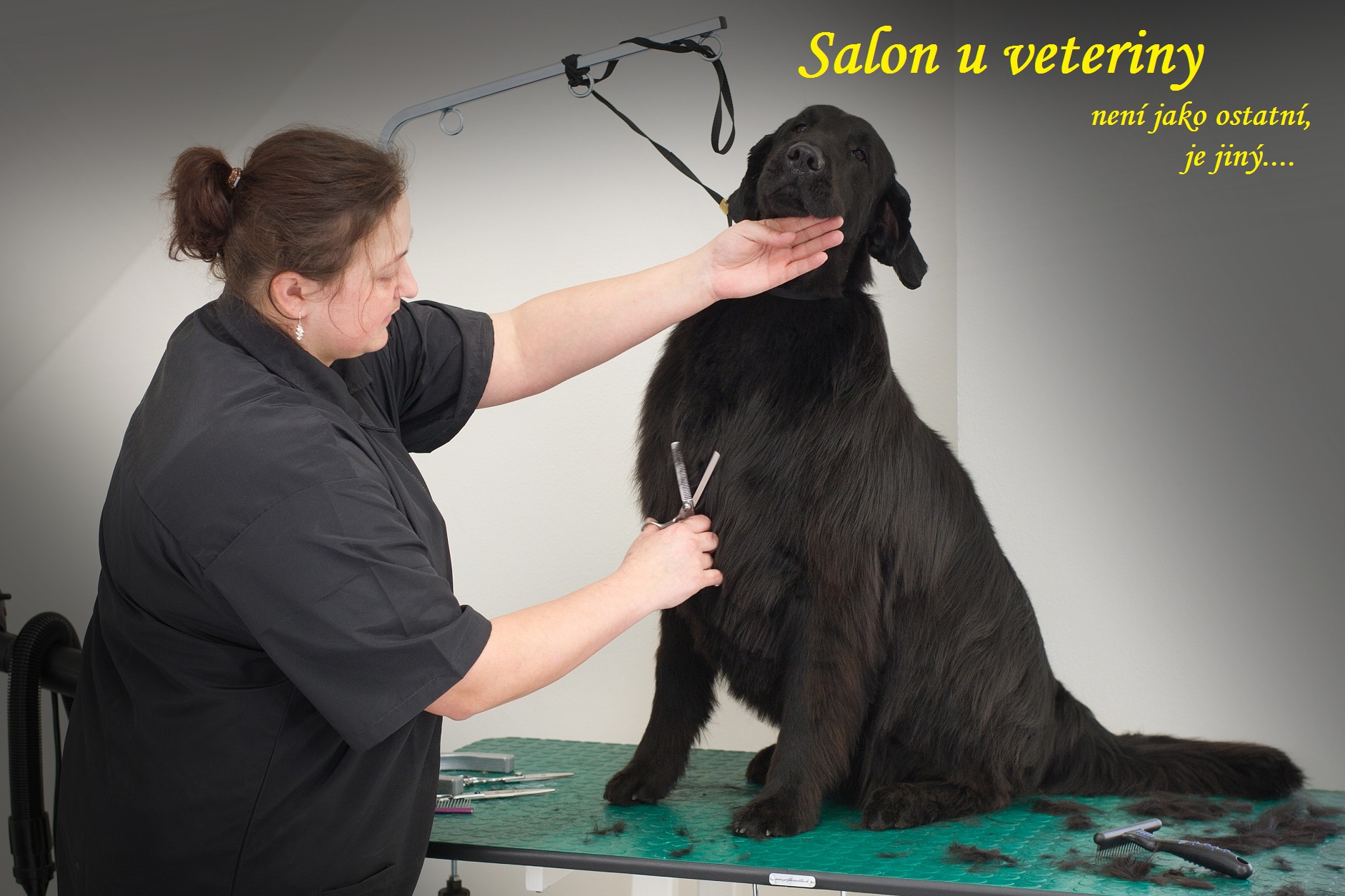 Kateřina Vršanová - Salon u veteriny foto 2