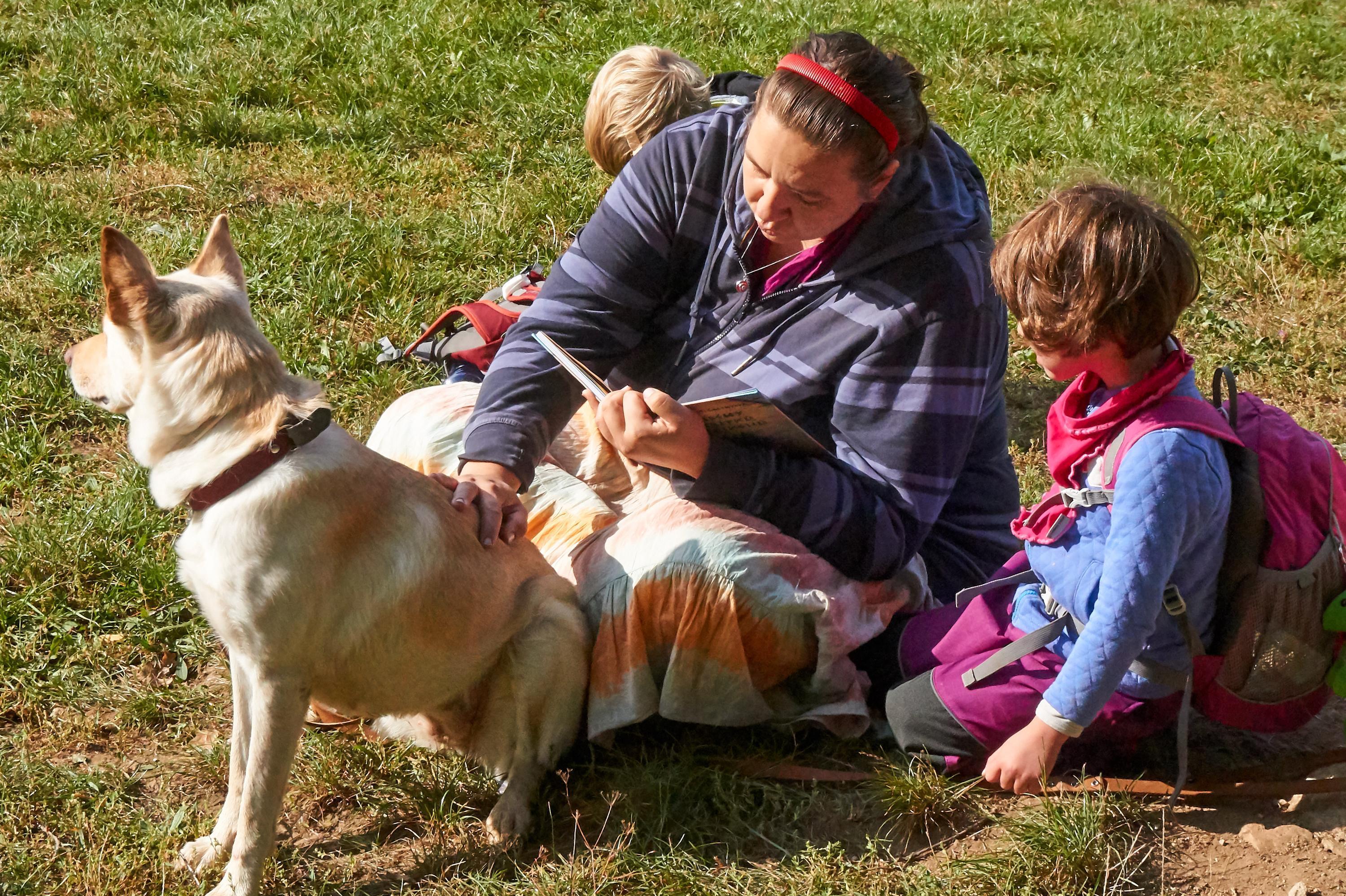 Senohrabské sovičky