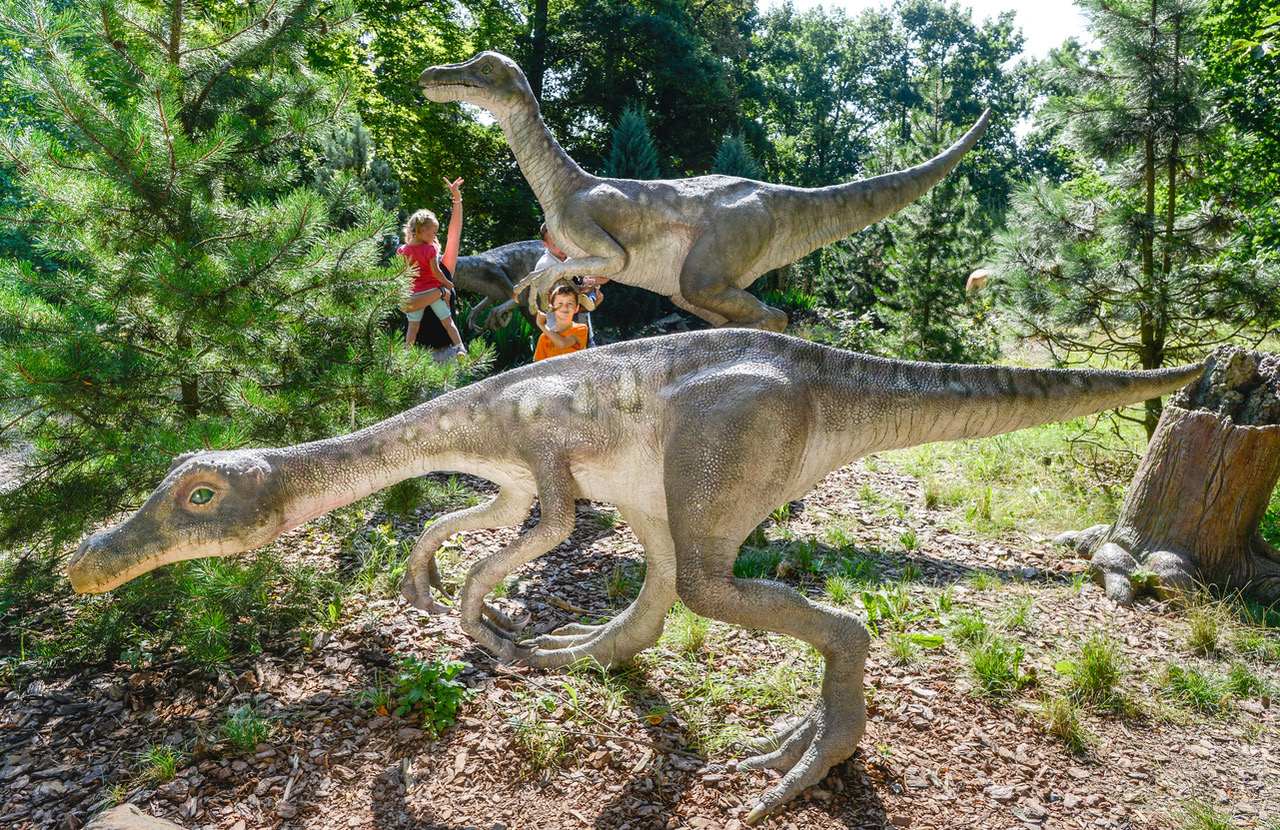 DinoPark Zoo Plzeň foto 6