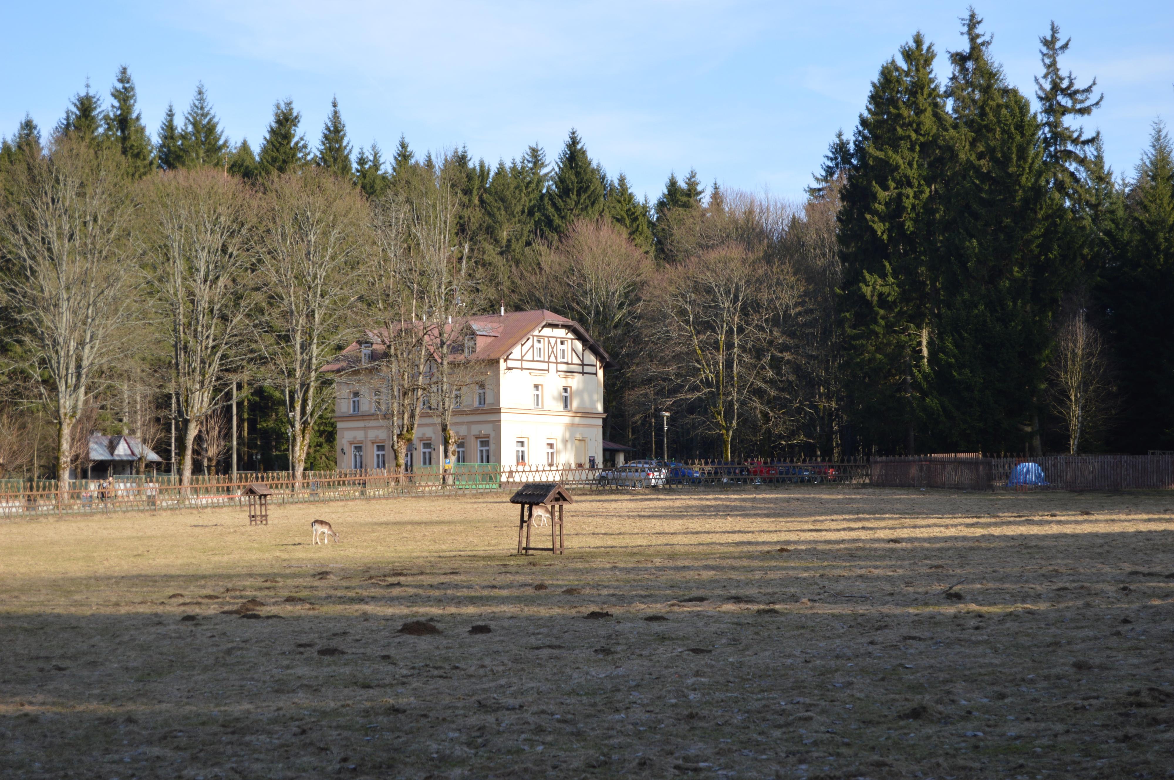 Villa Berolina foto 5