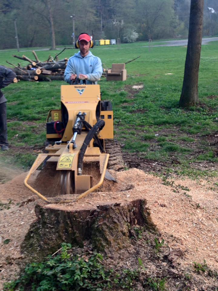 Arboeu, s.r.o. foto 3