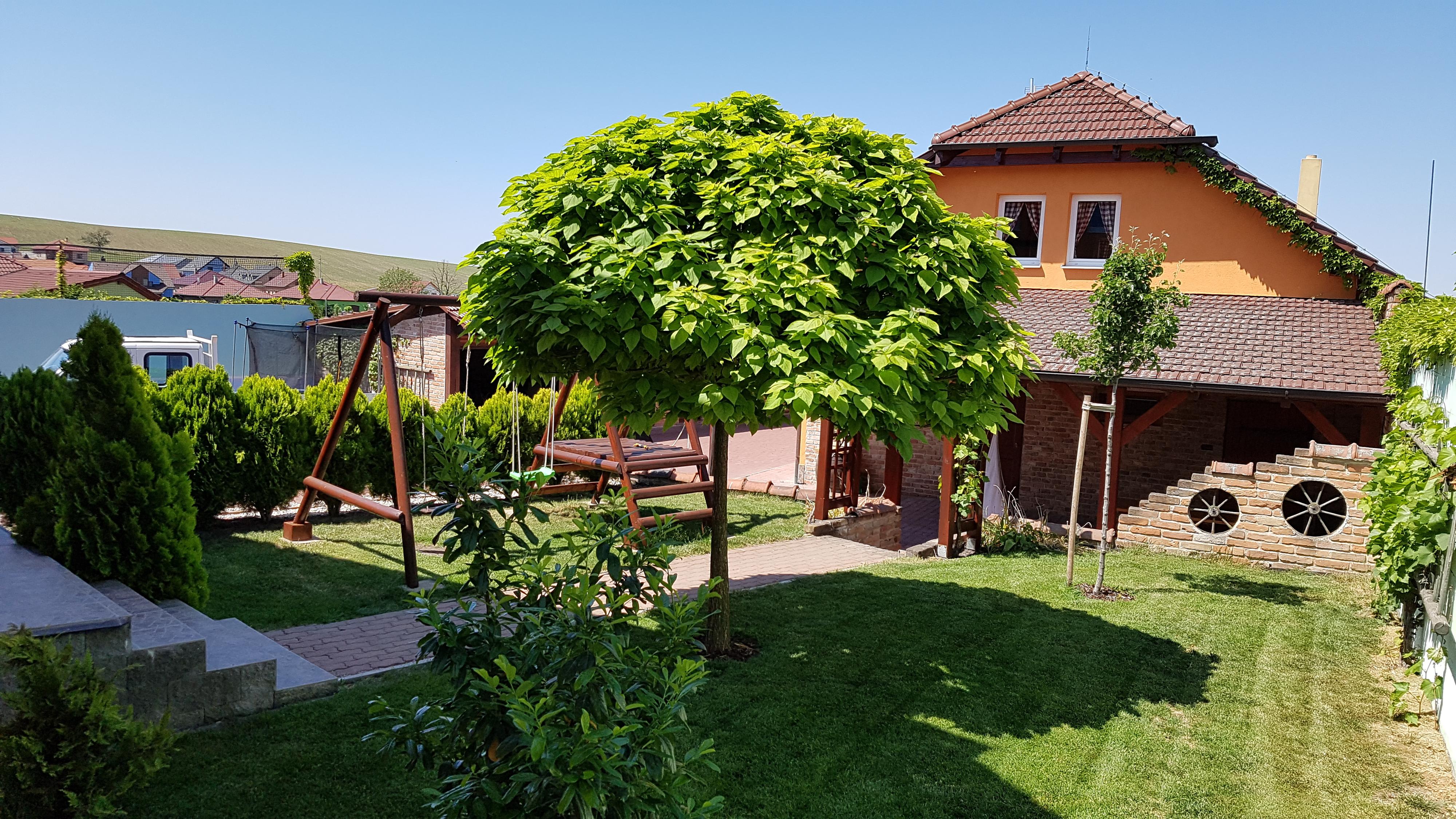 Chalupa na vinařské stezce foto 4