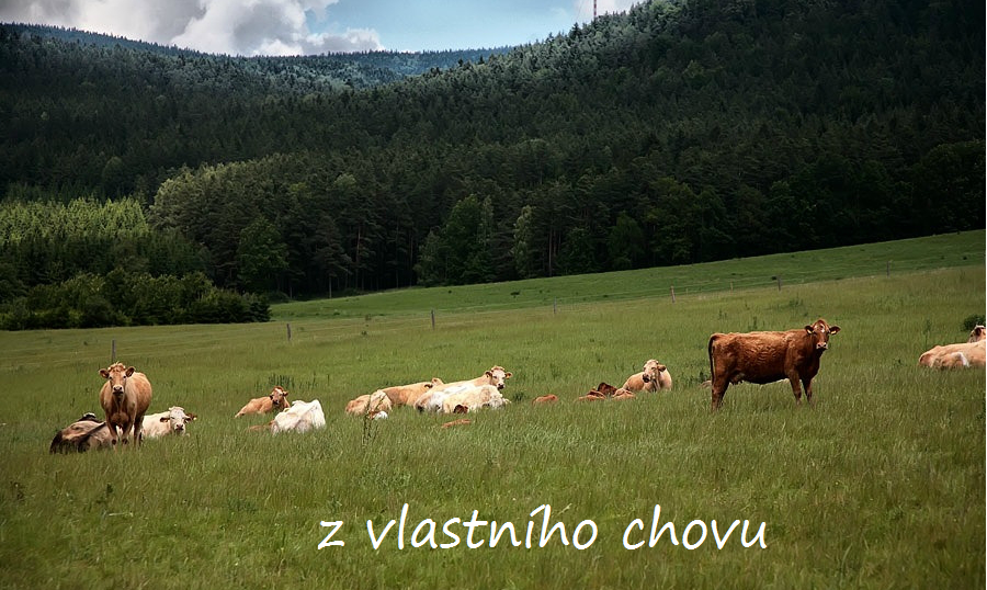 Jihočeská masna, s.r.o. foto 2