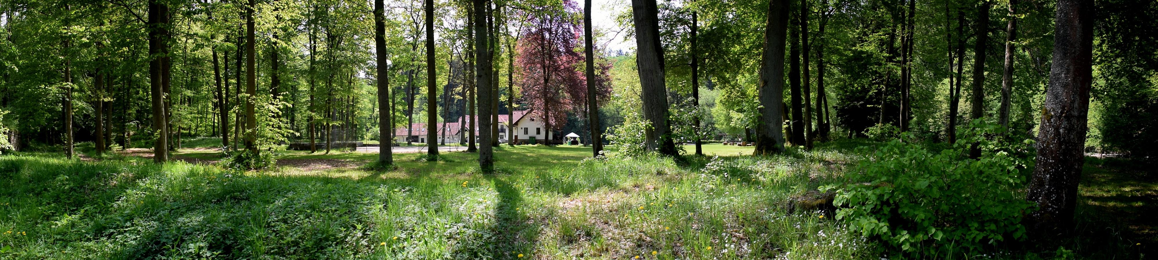 Penzion Příběnice foto 3