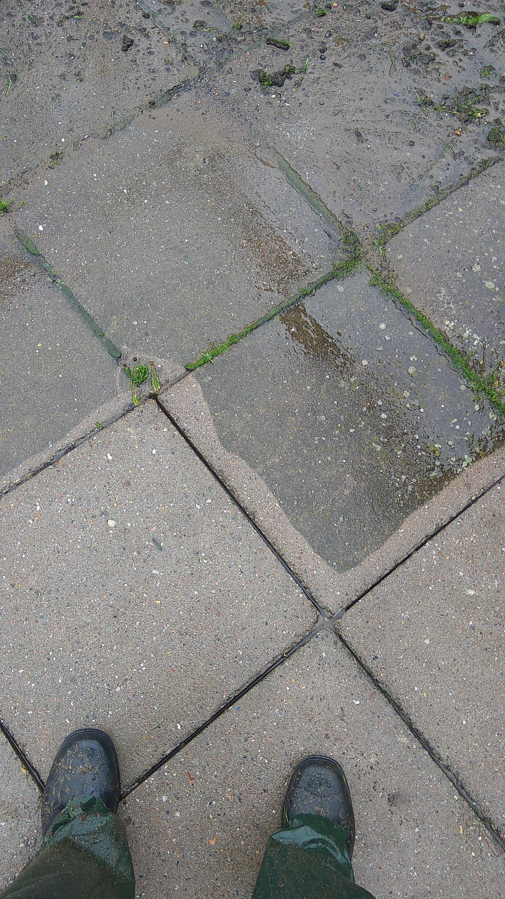 cistenidlazby.eu foto 2