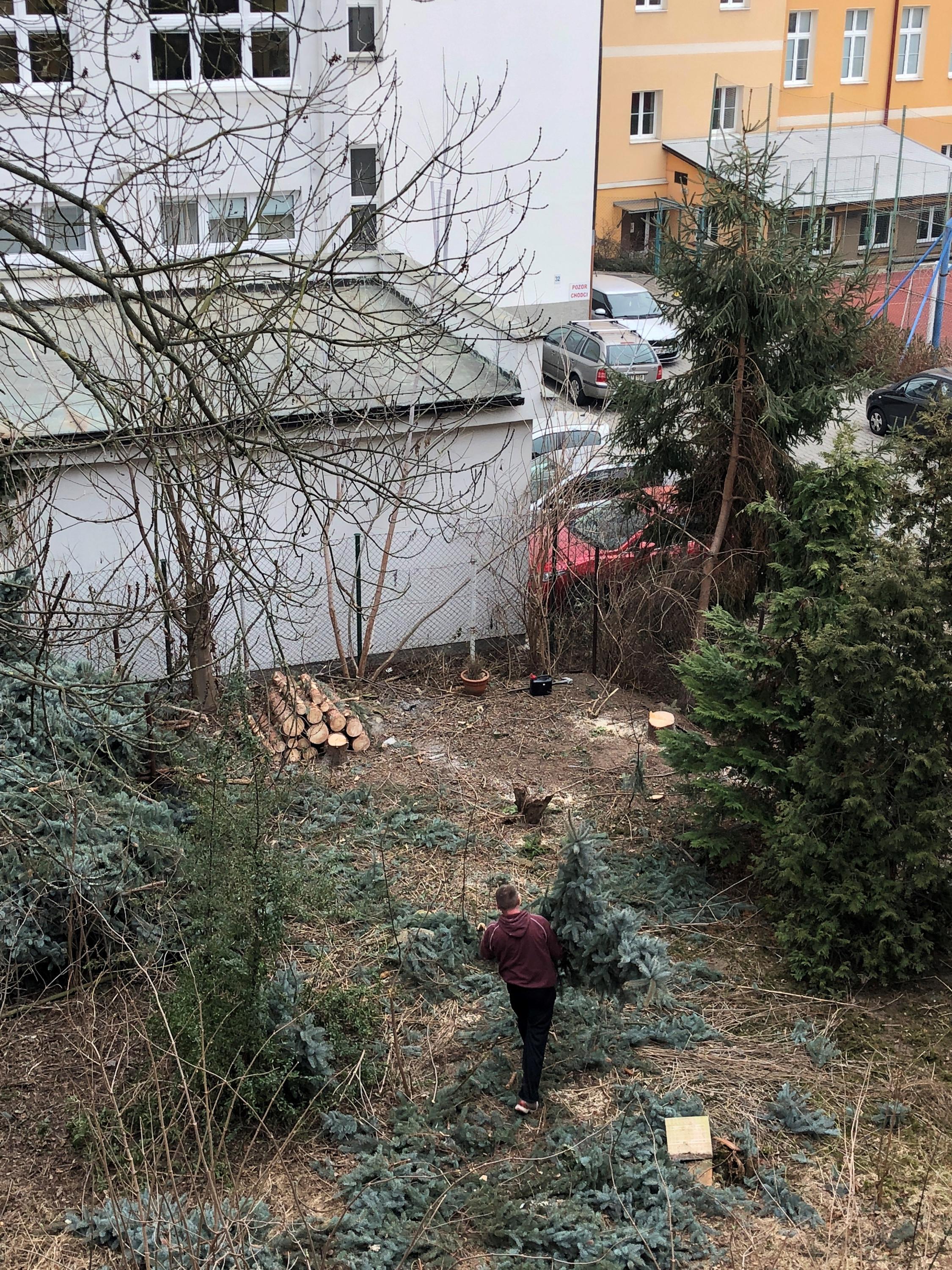 Vyklízení, stěhování a likvidace Plzeň foto 5