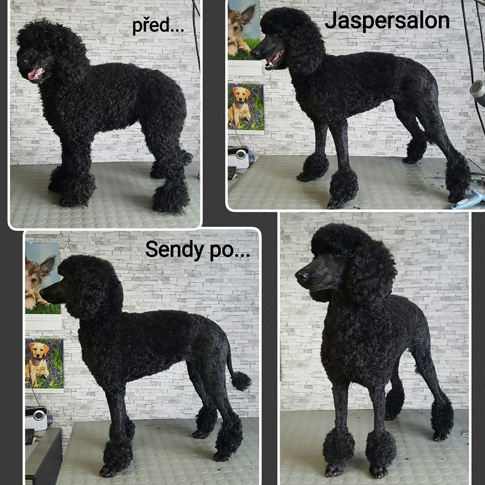 Jasper salón foto 4
