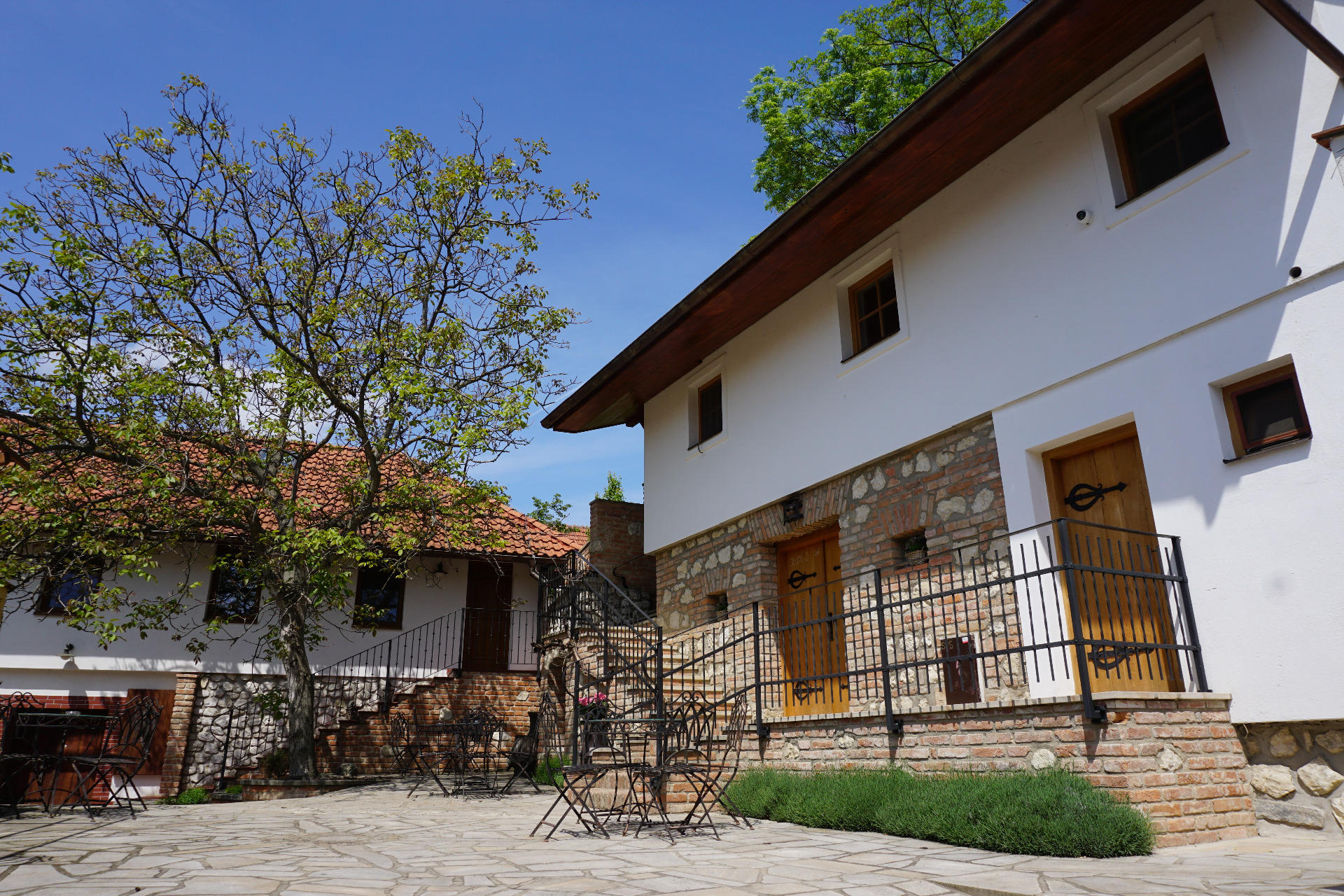 Vinařství Drmola foto 2