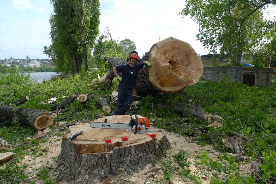 Dřevo a zem - Ing. Pavel Hlaváč foto 5