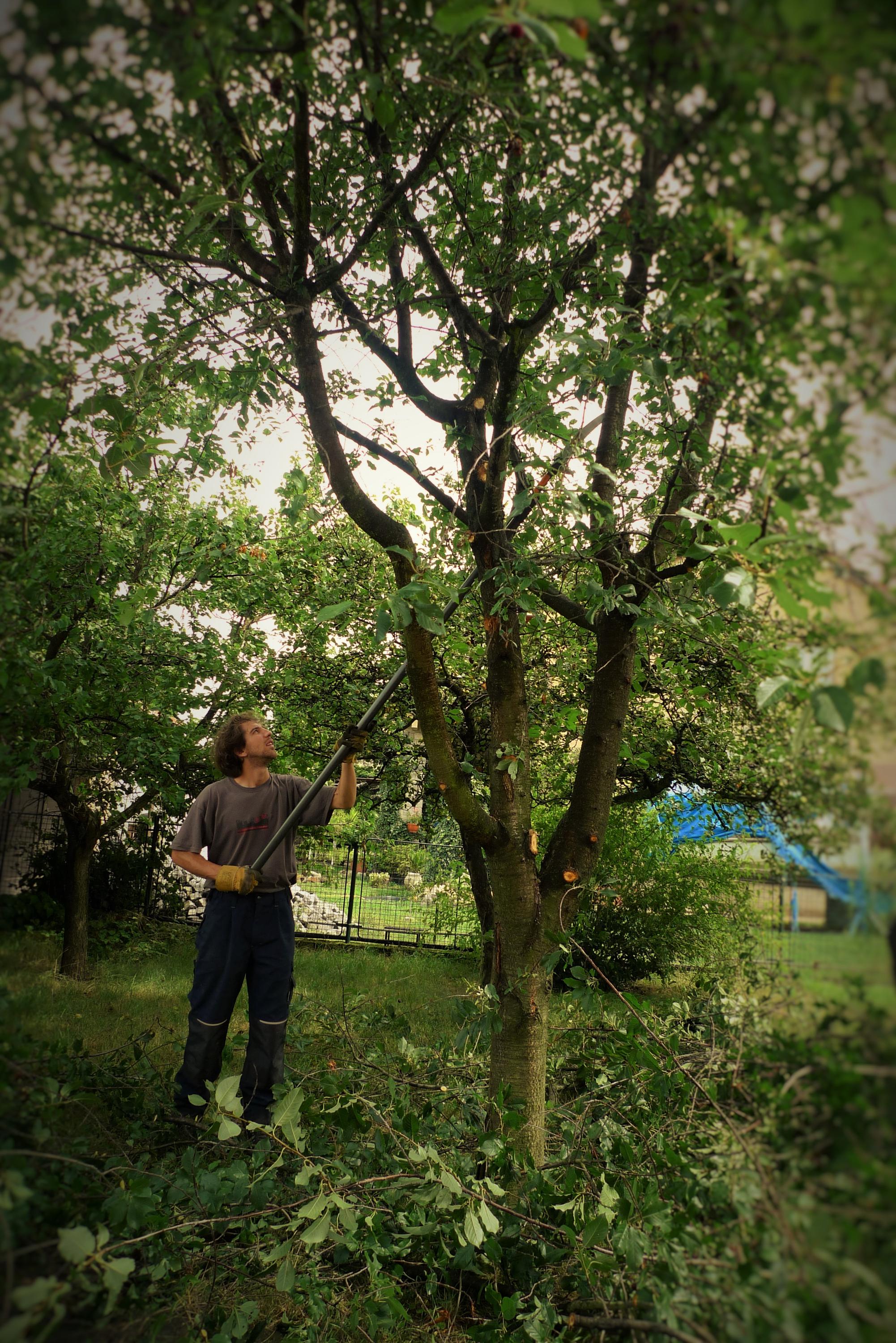 Dřevo a zem - Ing. Pavel Hlaváč foto 6