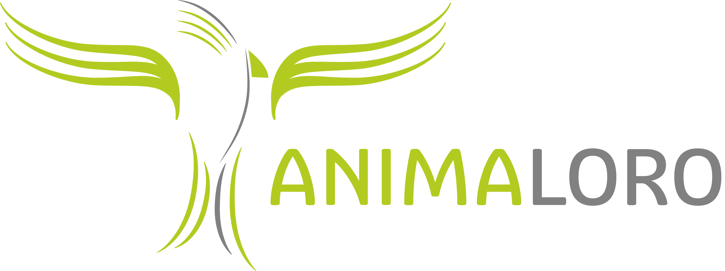 Martin Zdráhal foto 2