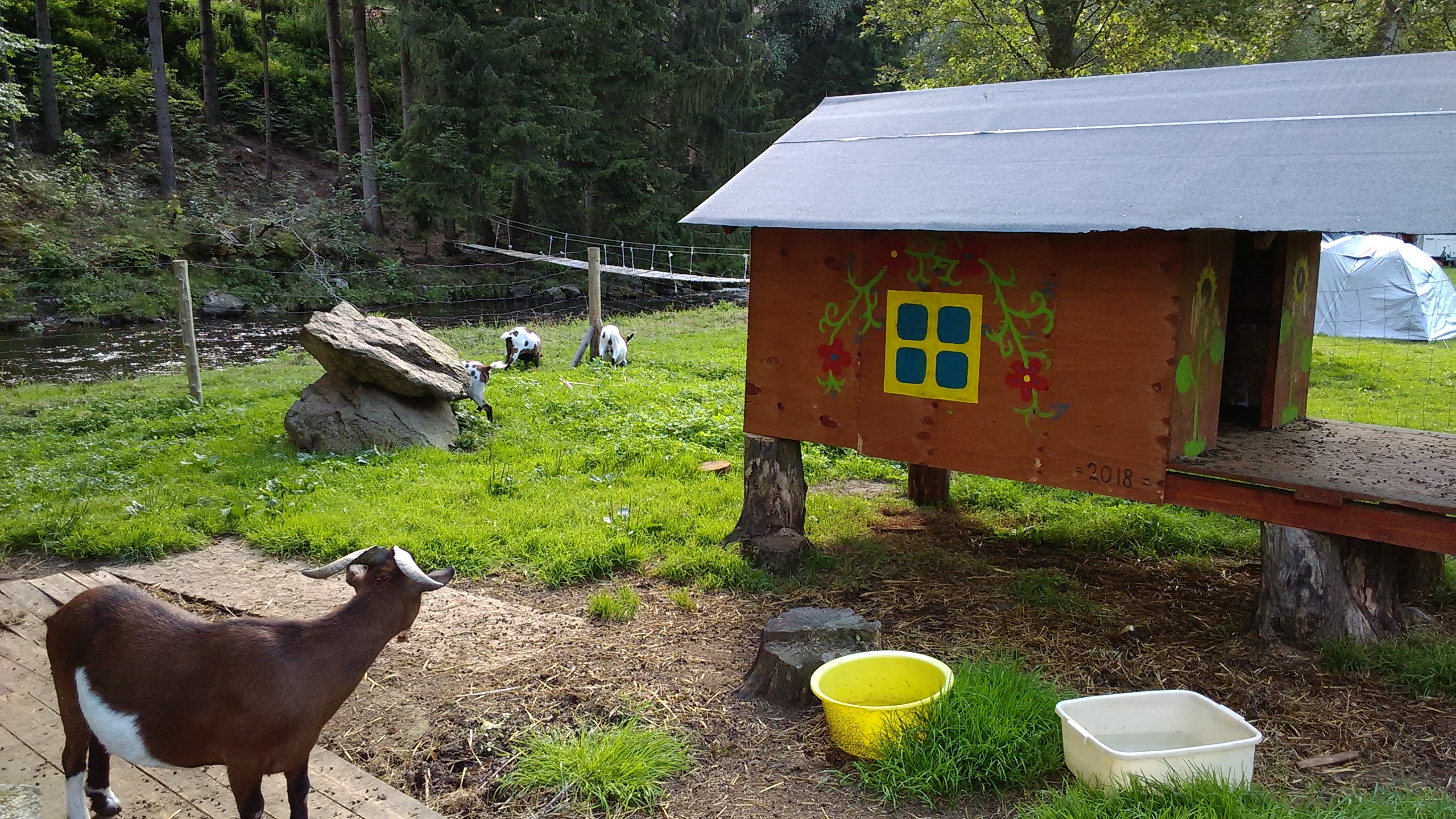 Kemp TJ Vltava - občerstvení foto 4