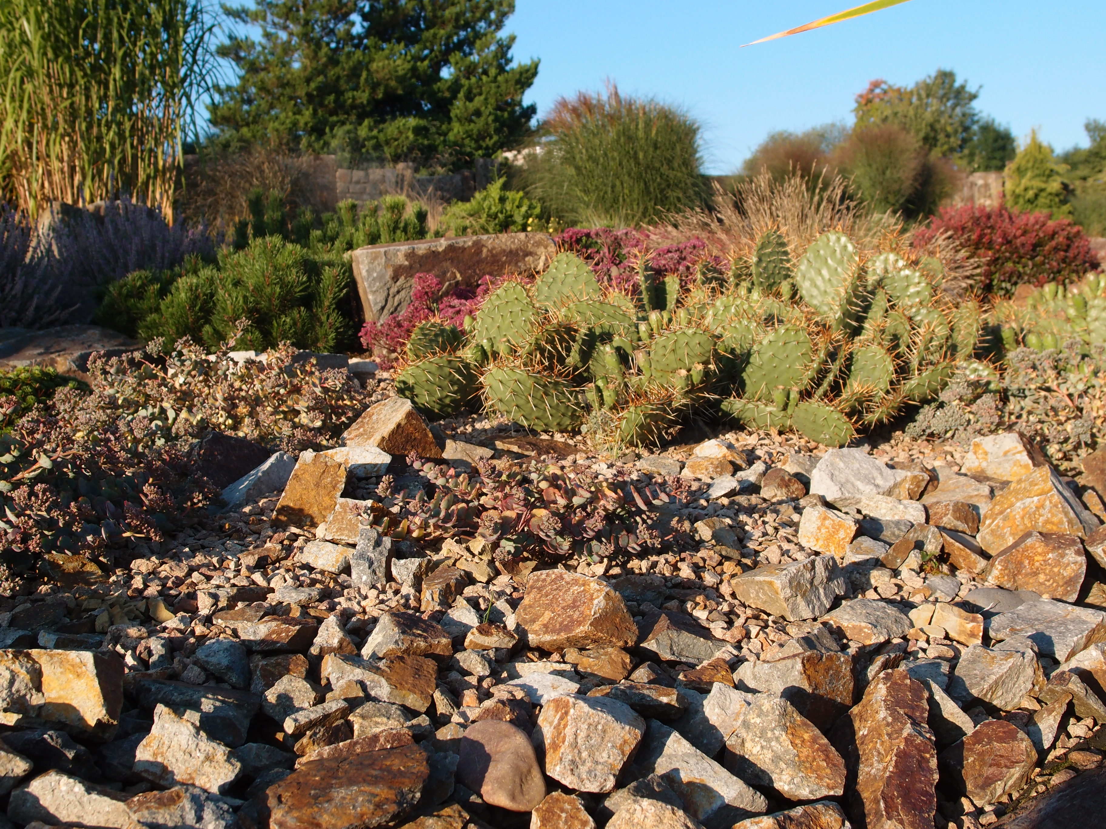 Zahrady od Olivie foto 2