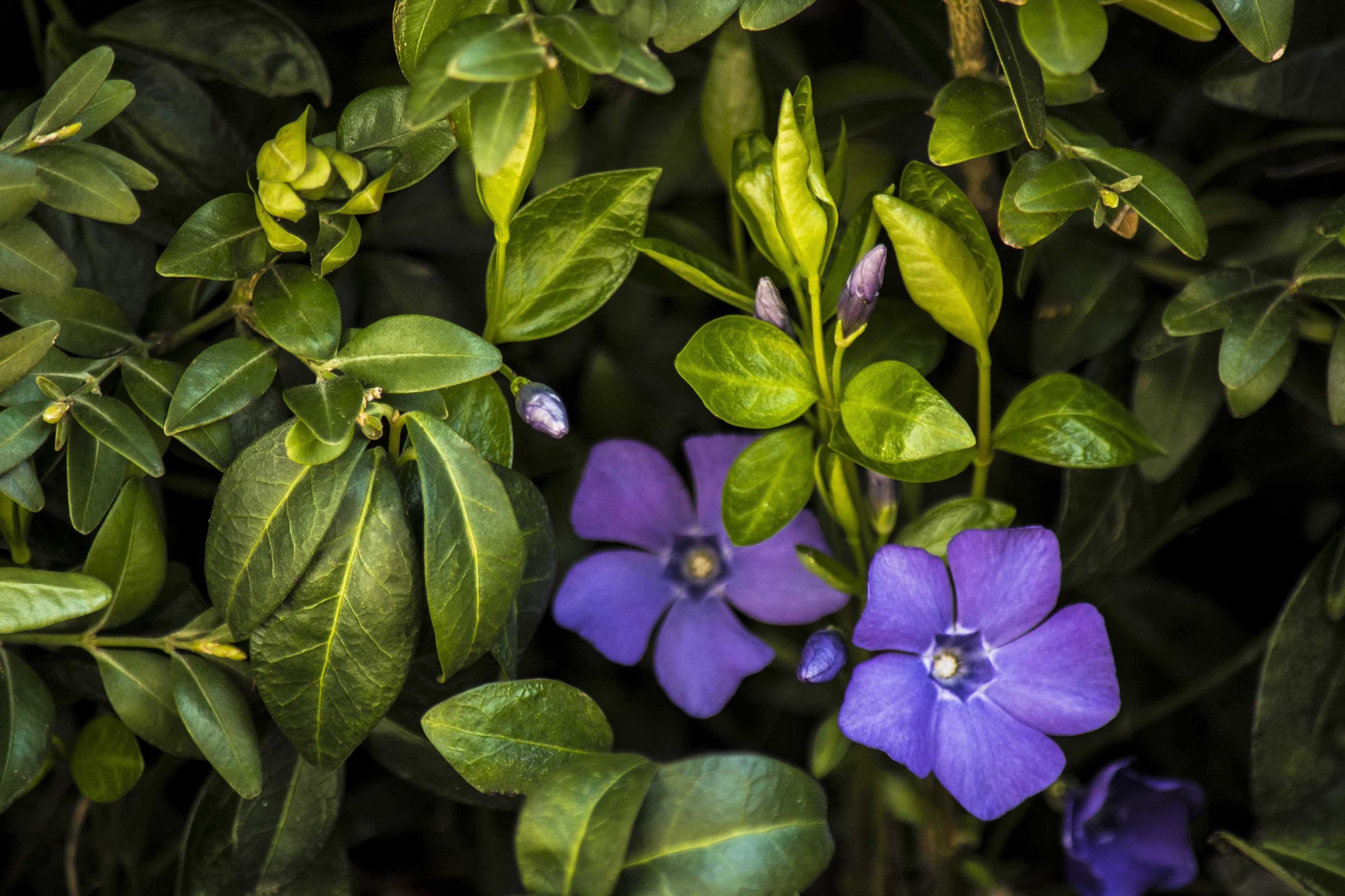 DaPa Production - foto & video foto 2