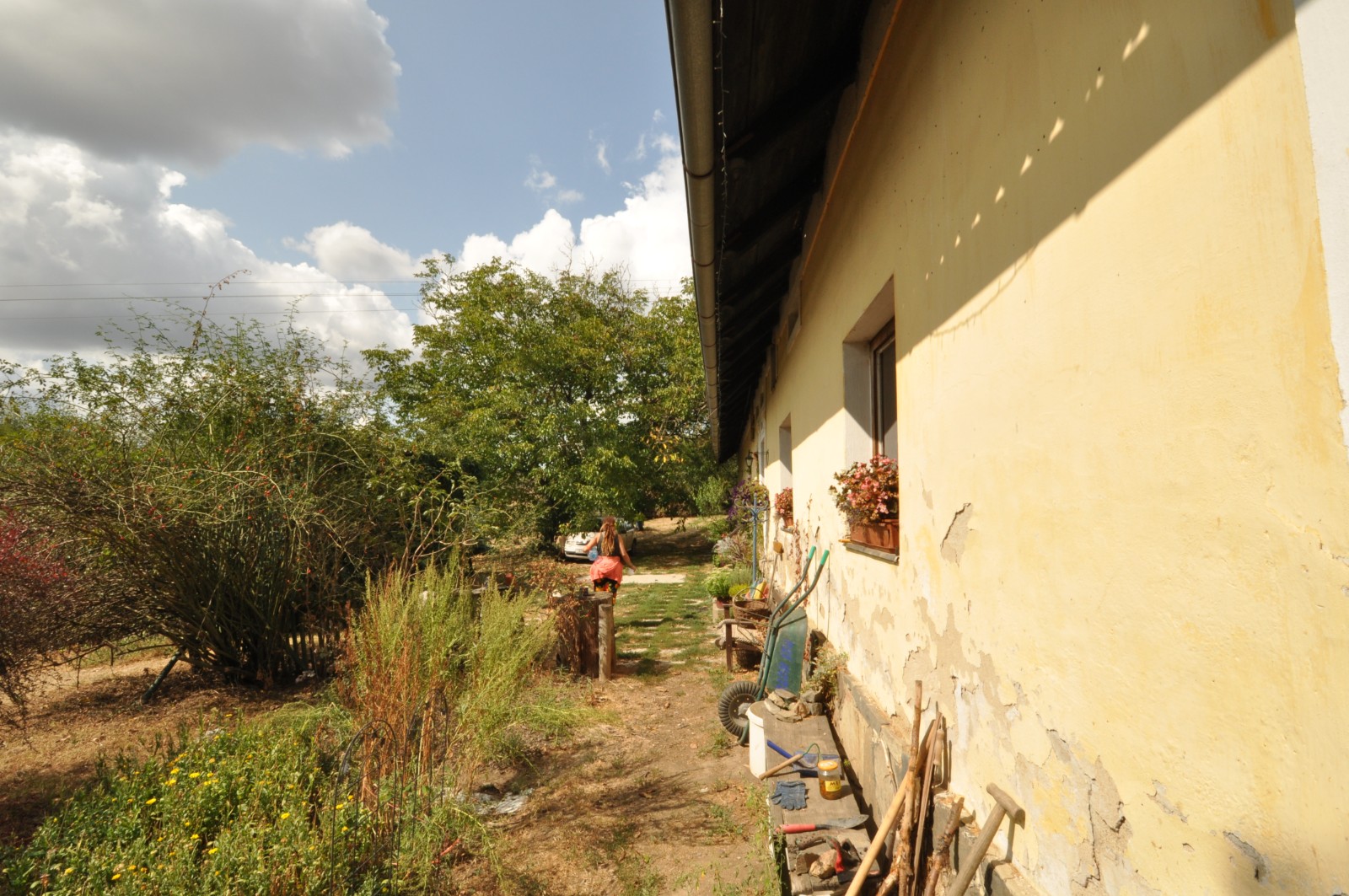 Petra Kopecká - Hotel pro psy v přírodě foto 4