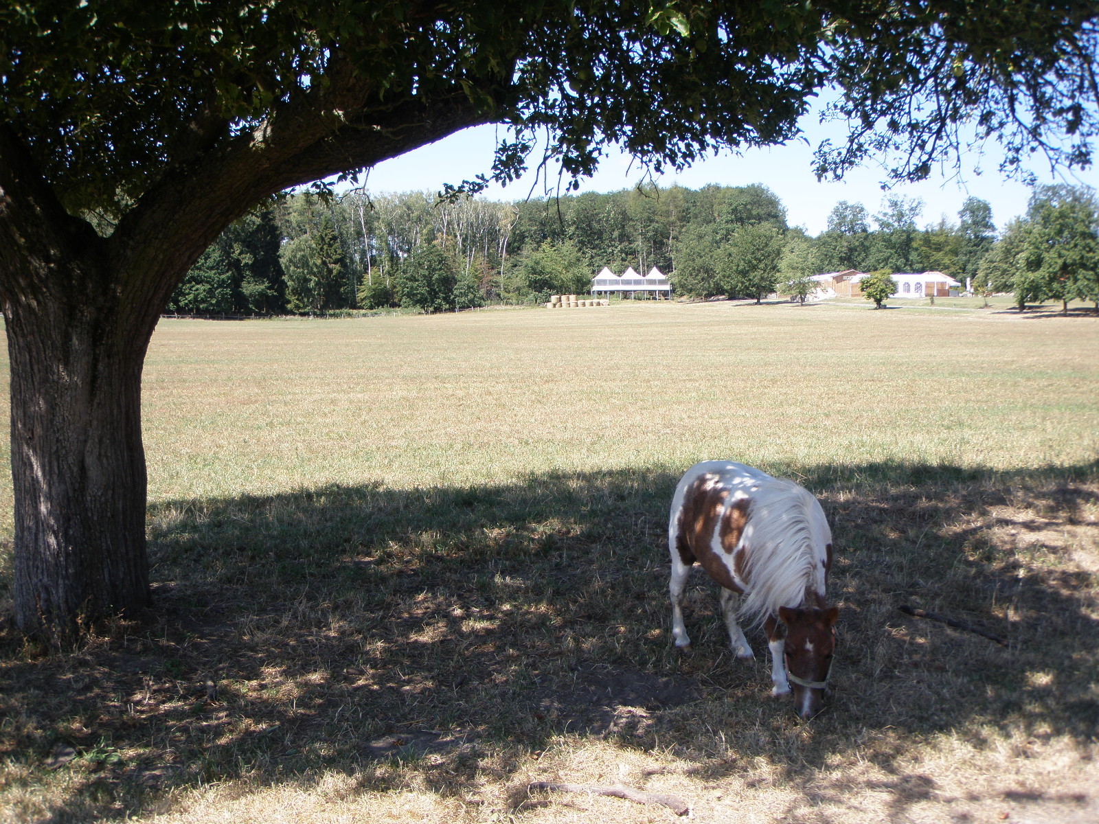 Restaurace Alwin foto 2