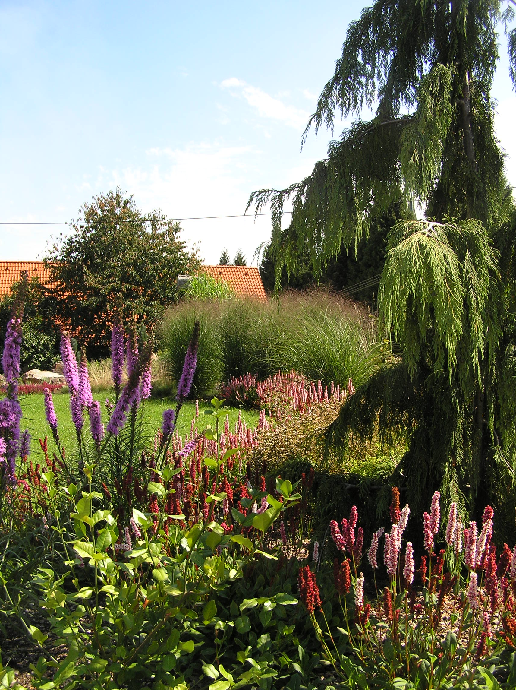 Zahrady od Olivie foto 3