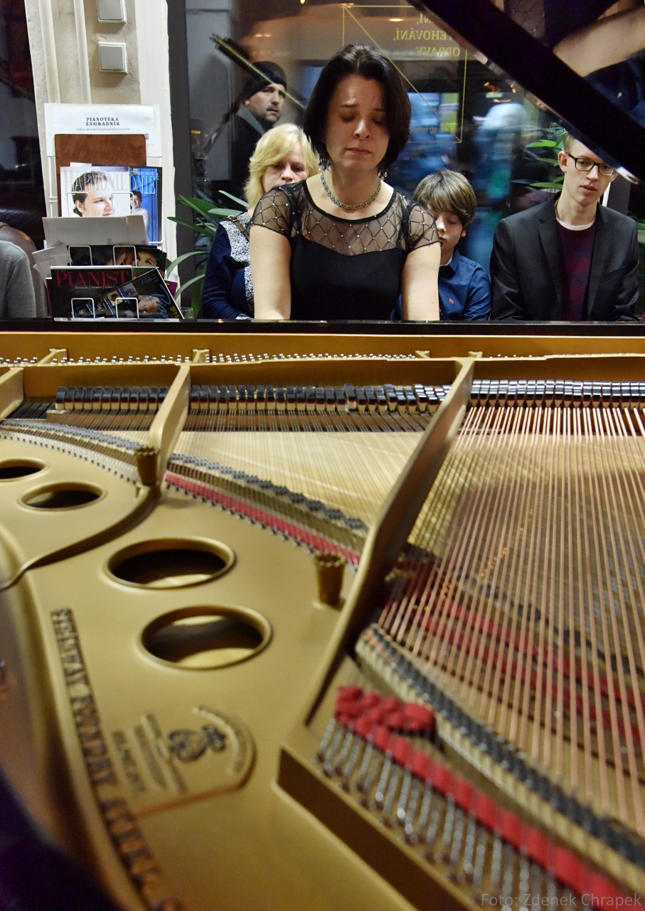 Pianotéka Zahradník foto 2