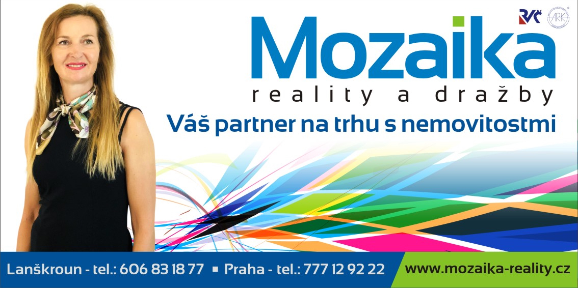 REALITY MOZAIKA foto 3