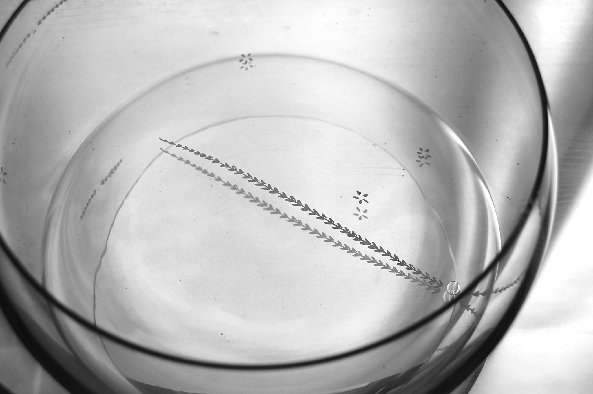 MgA. Adéla Lakomá foto 3