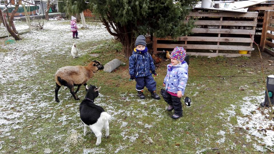 Farmářská školka Skřítek foto 5