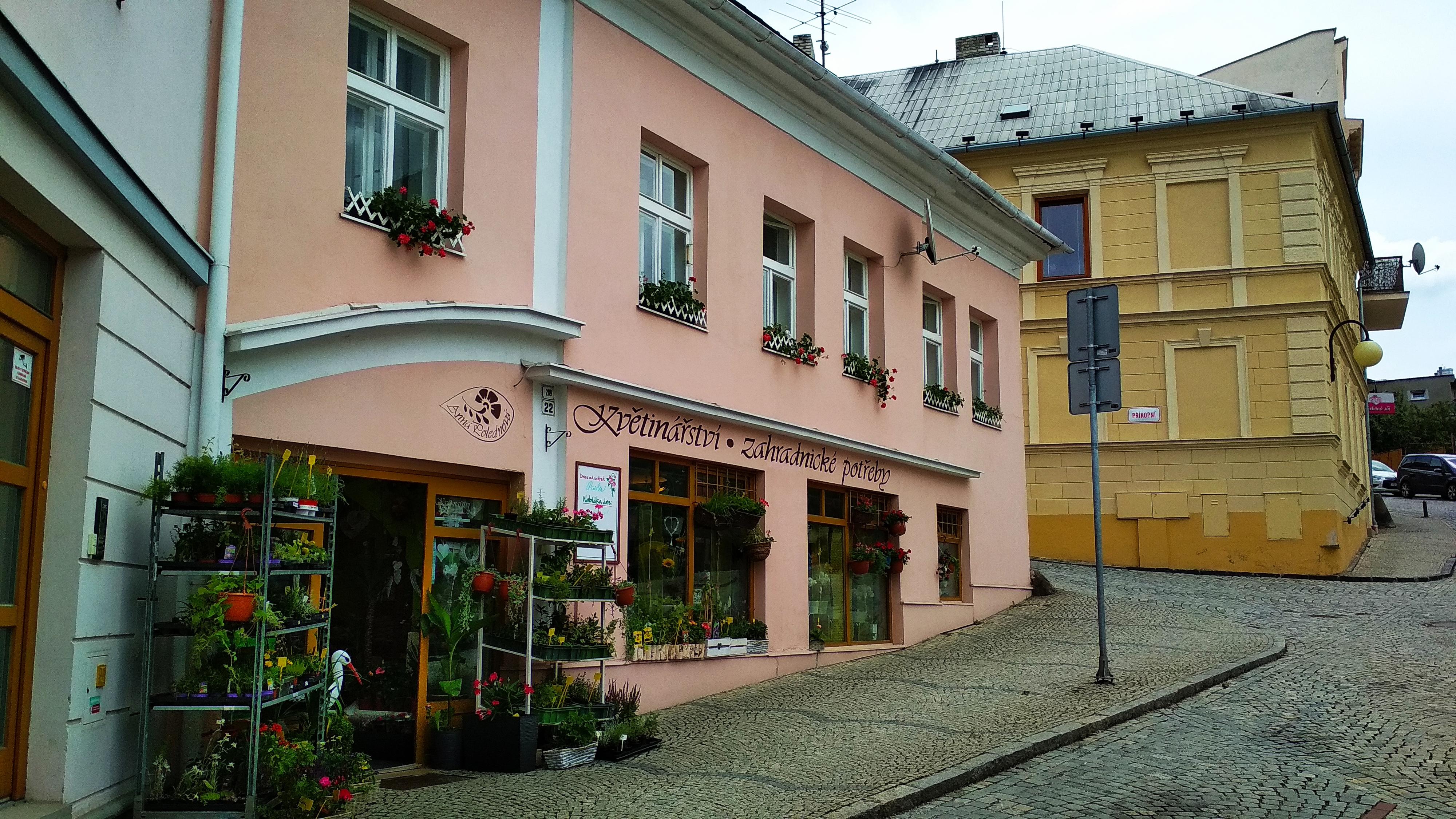 KVĚTINÁŘSTVÍ - Anna Polednová