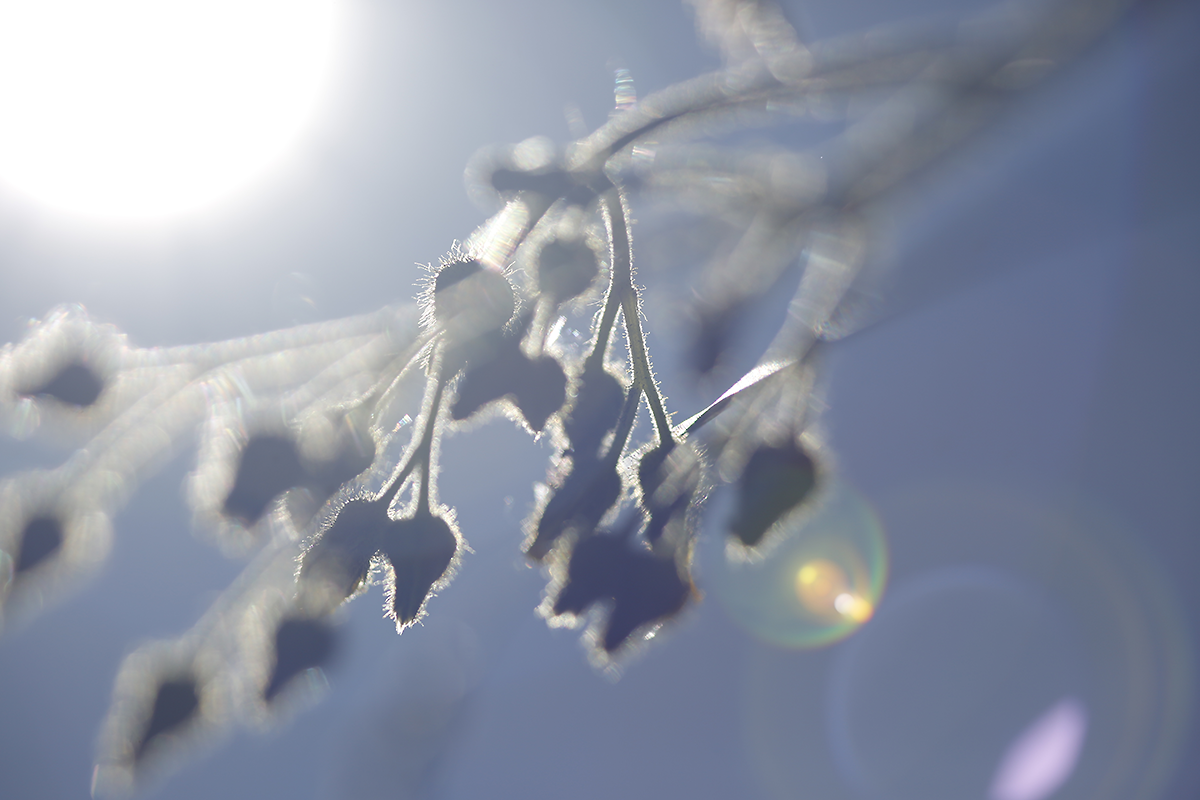 Liberecká škola foto•grafická foto 6