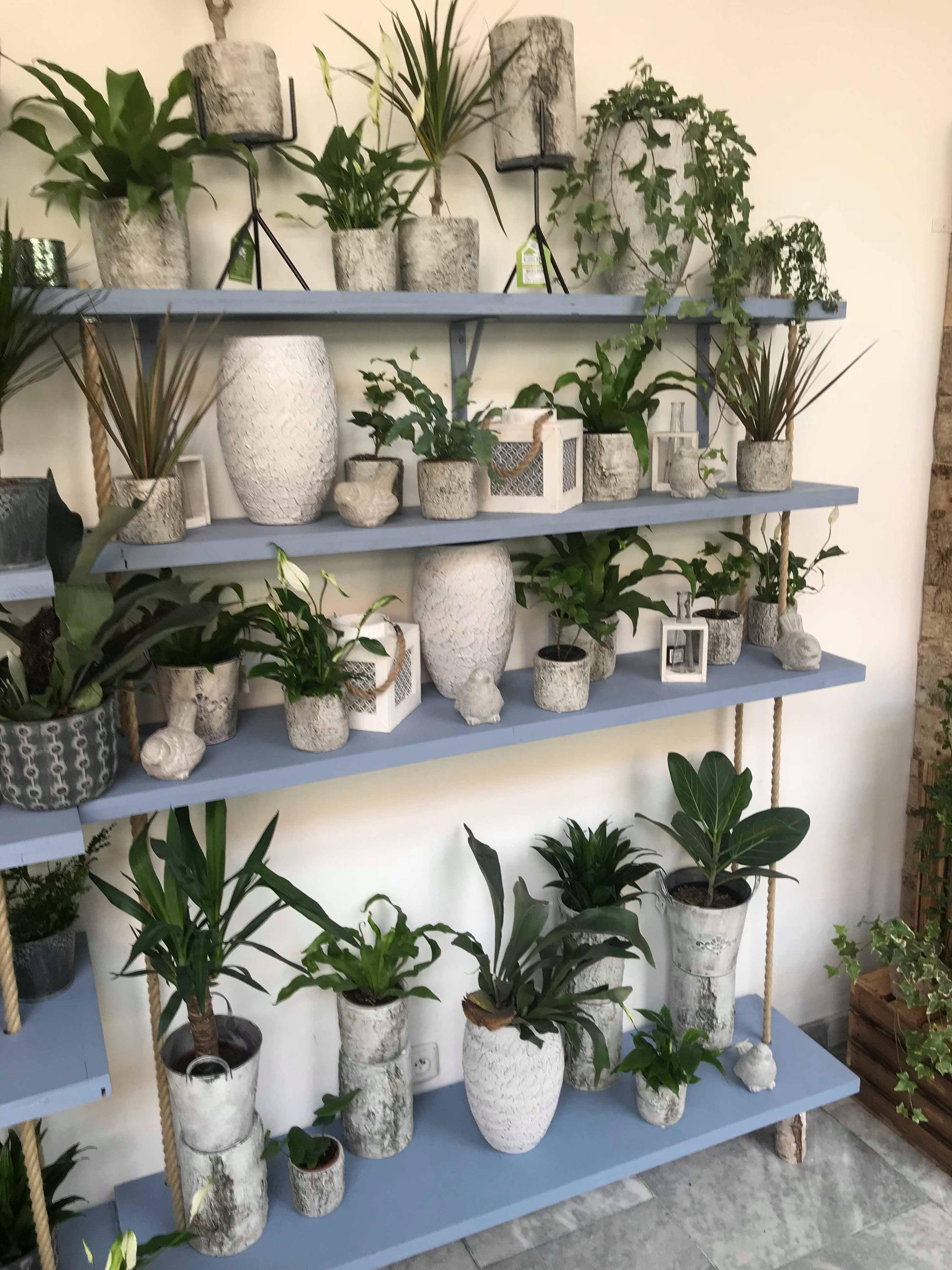 Květinářství GALERIE Brno foto 4