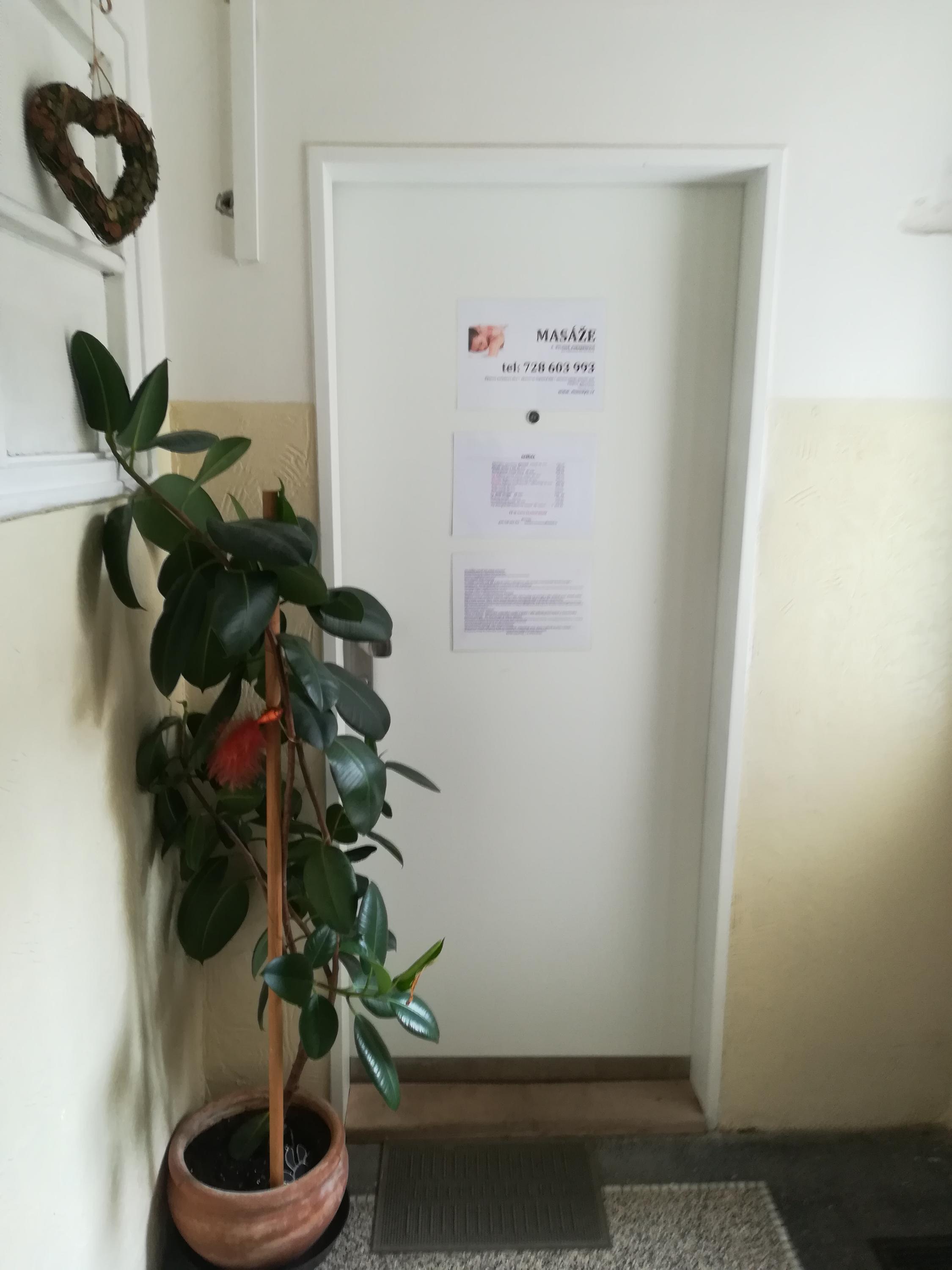 Masáže Jana foto 3