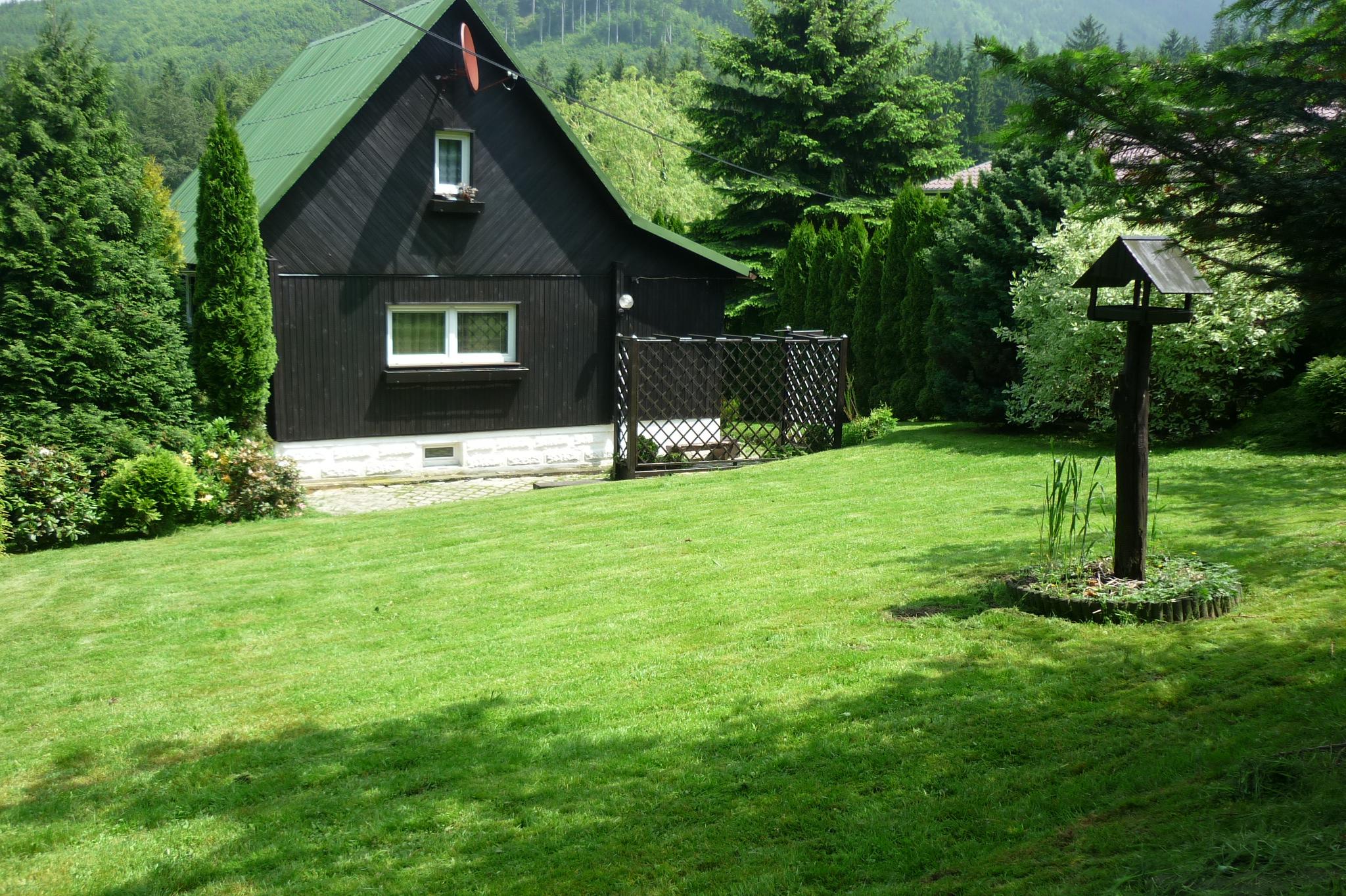 FRENZA, Ondřej Svoboda