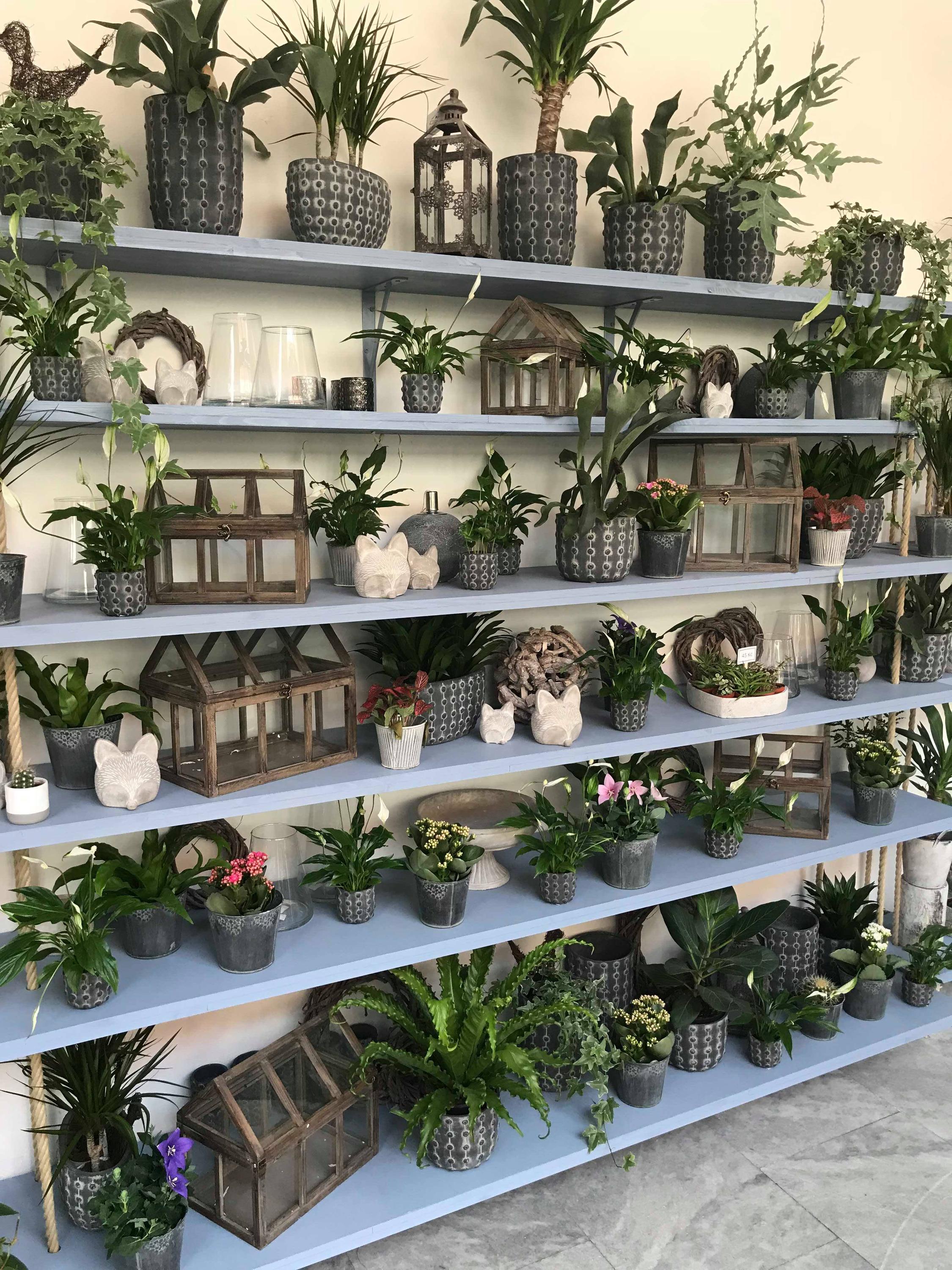 Květinářství GALERIE Brno foto 2