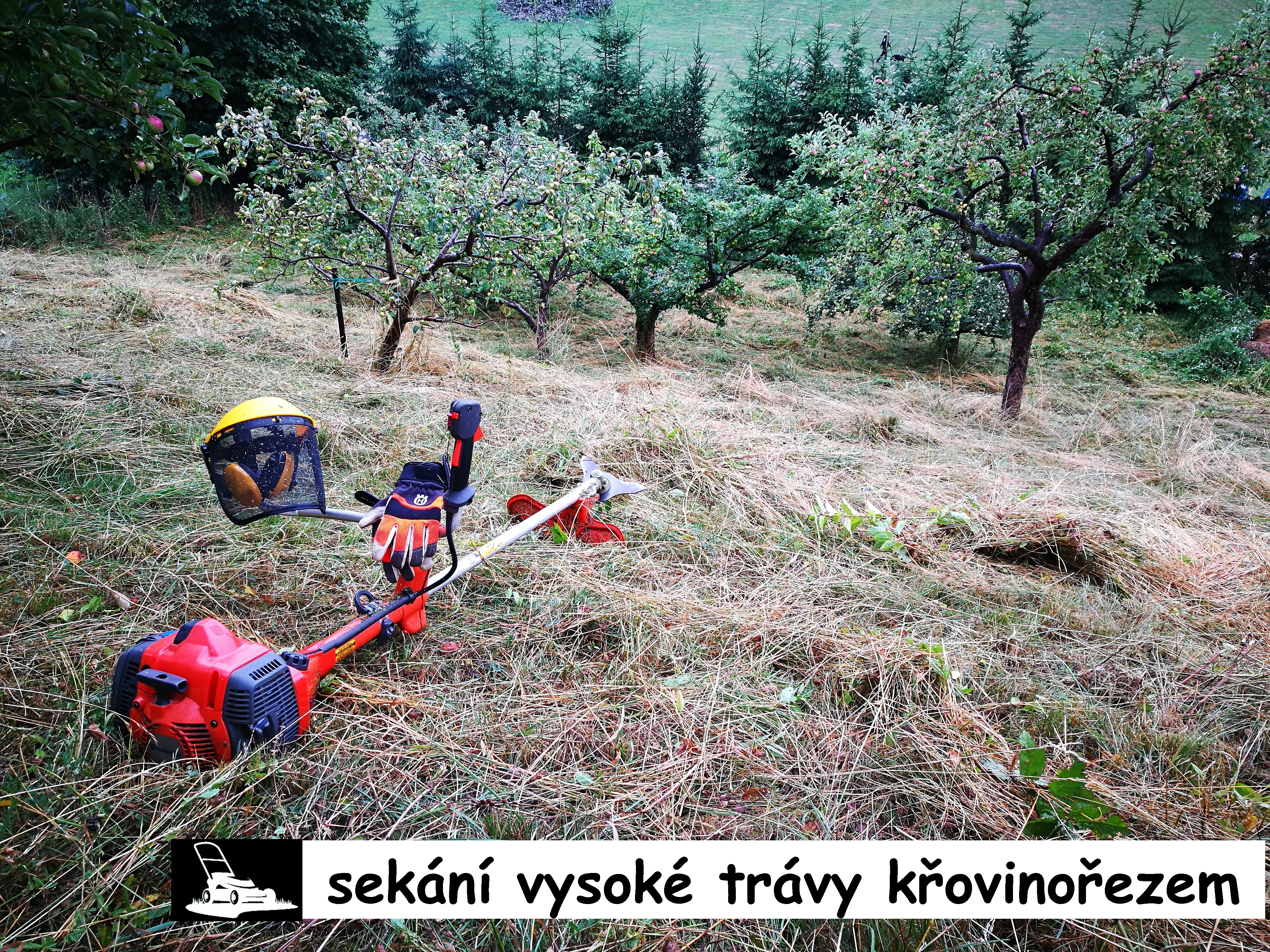 PosekámeTo.cz foto 5