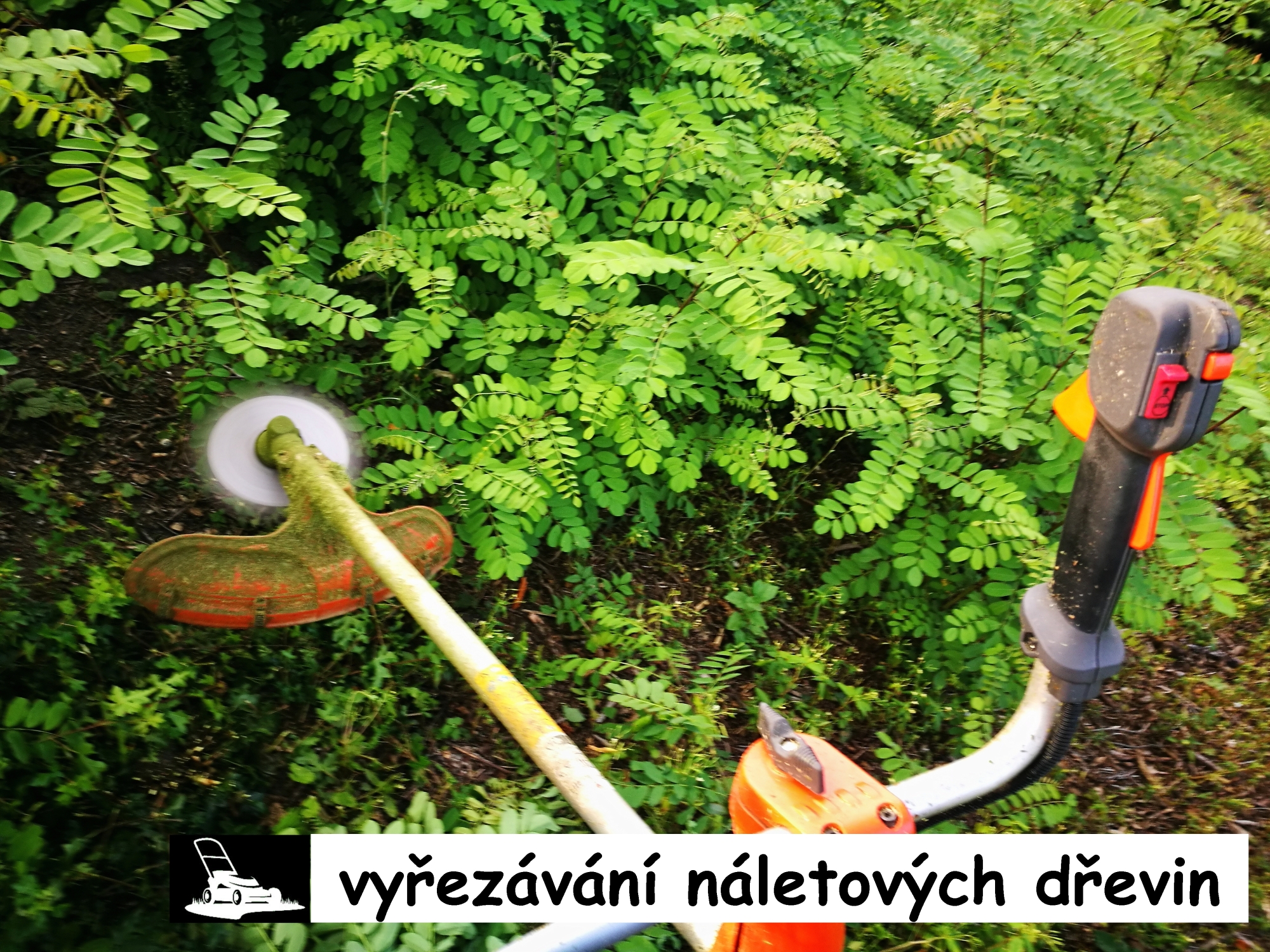 PosekámeTo.cz foto 3
