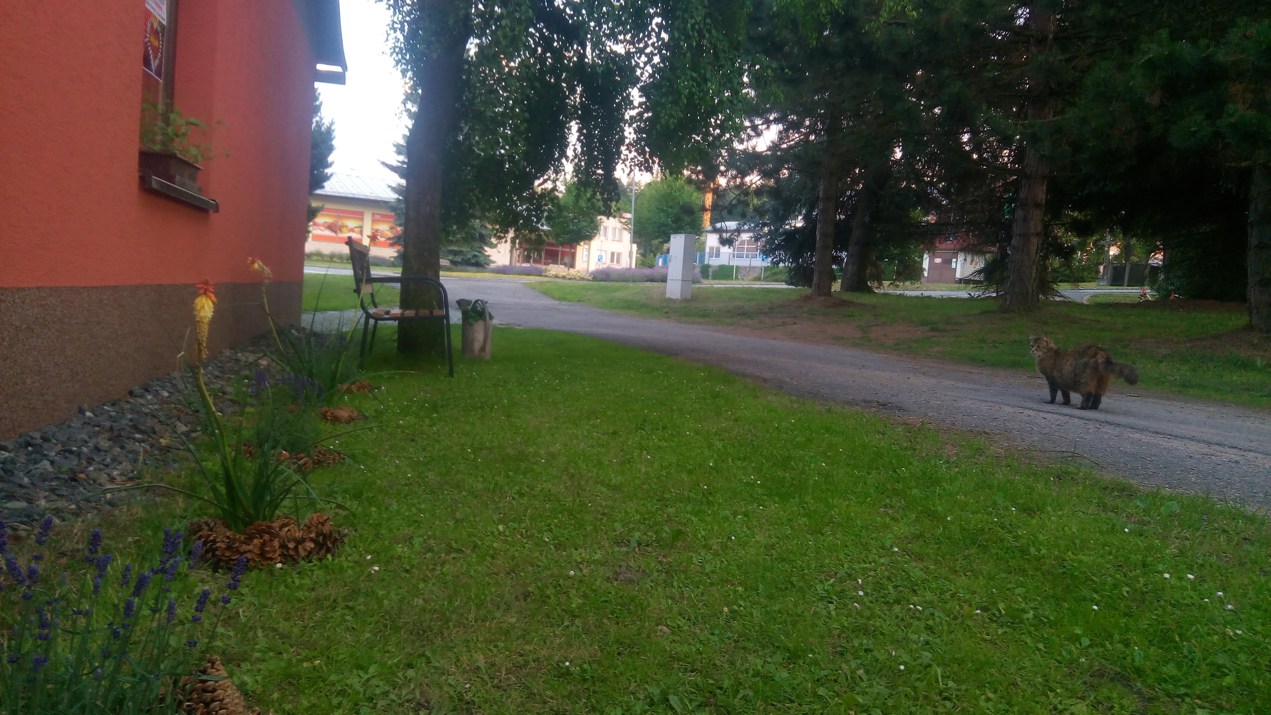 Ubytování NMNM foto 5