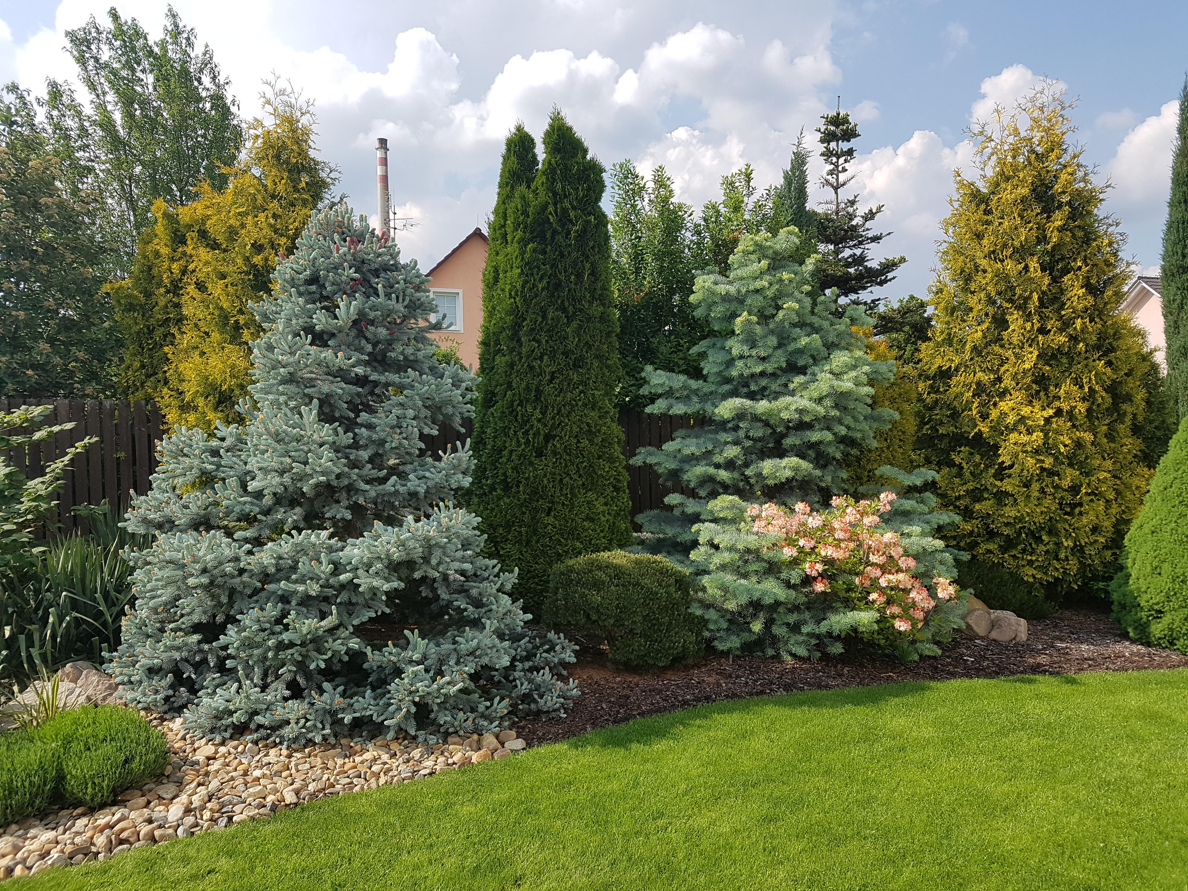 AZ - Pomoc.cz - Jiří Zeman foto 3