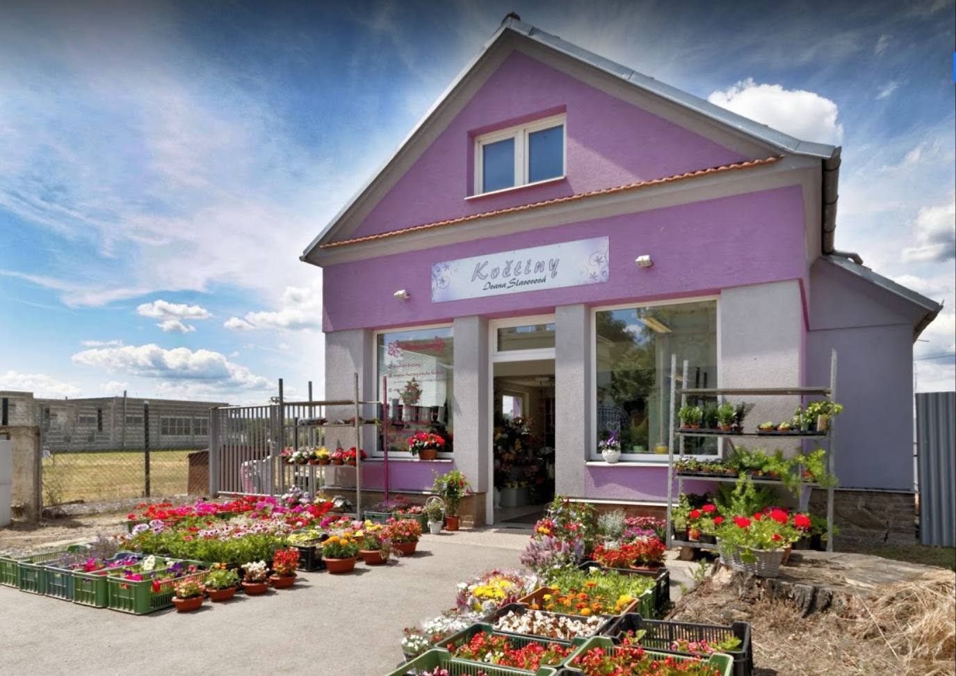 Květiny - Ivana Slavovová foto 3