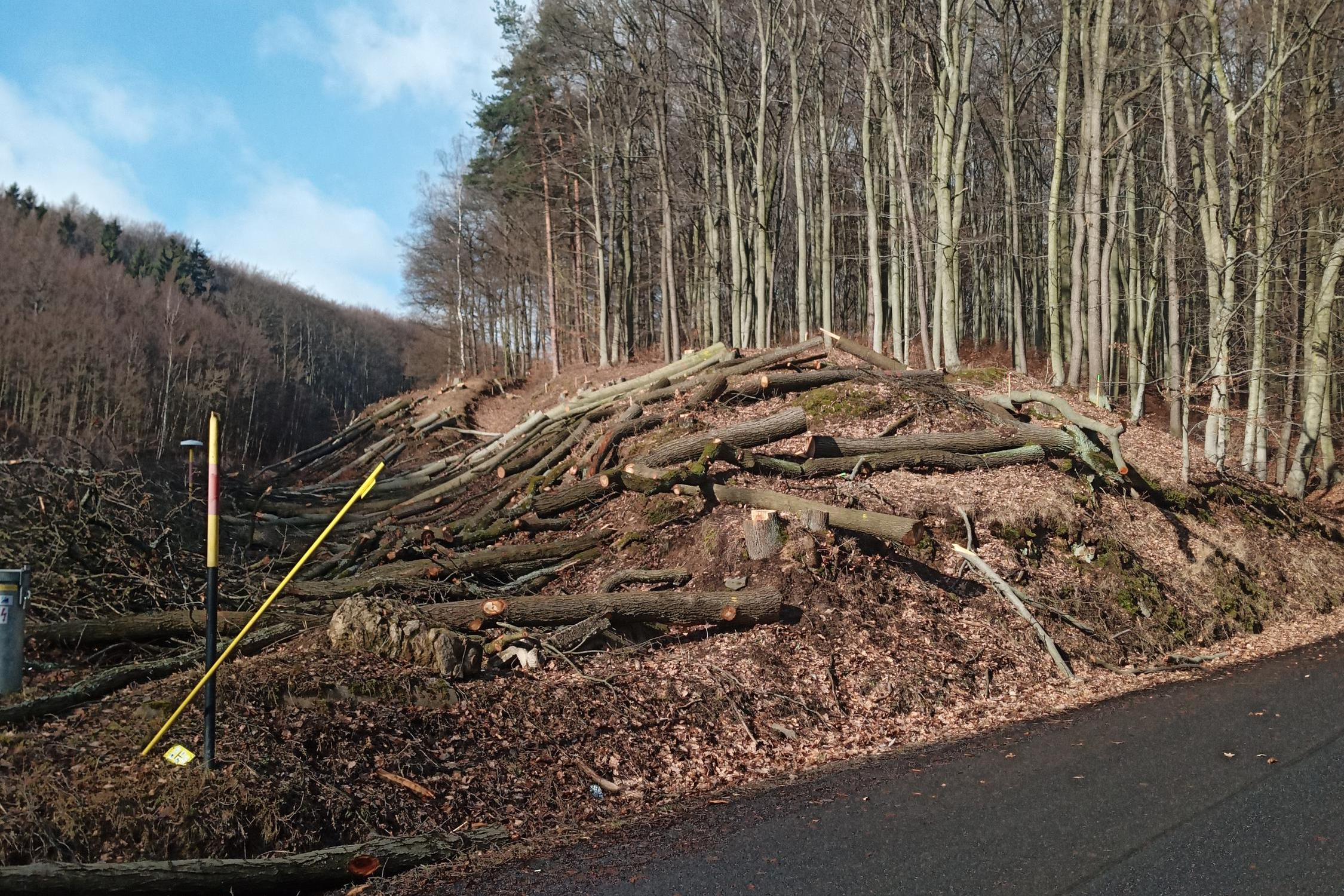 Lesní - lesnické práce - těžba dřeva SEAWORK