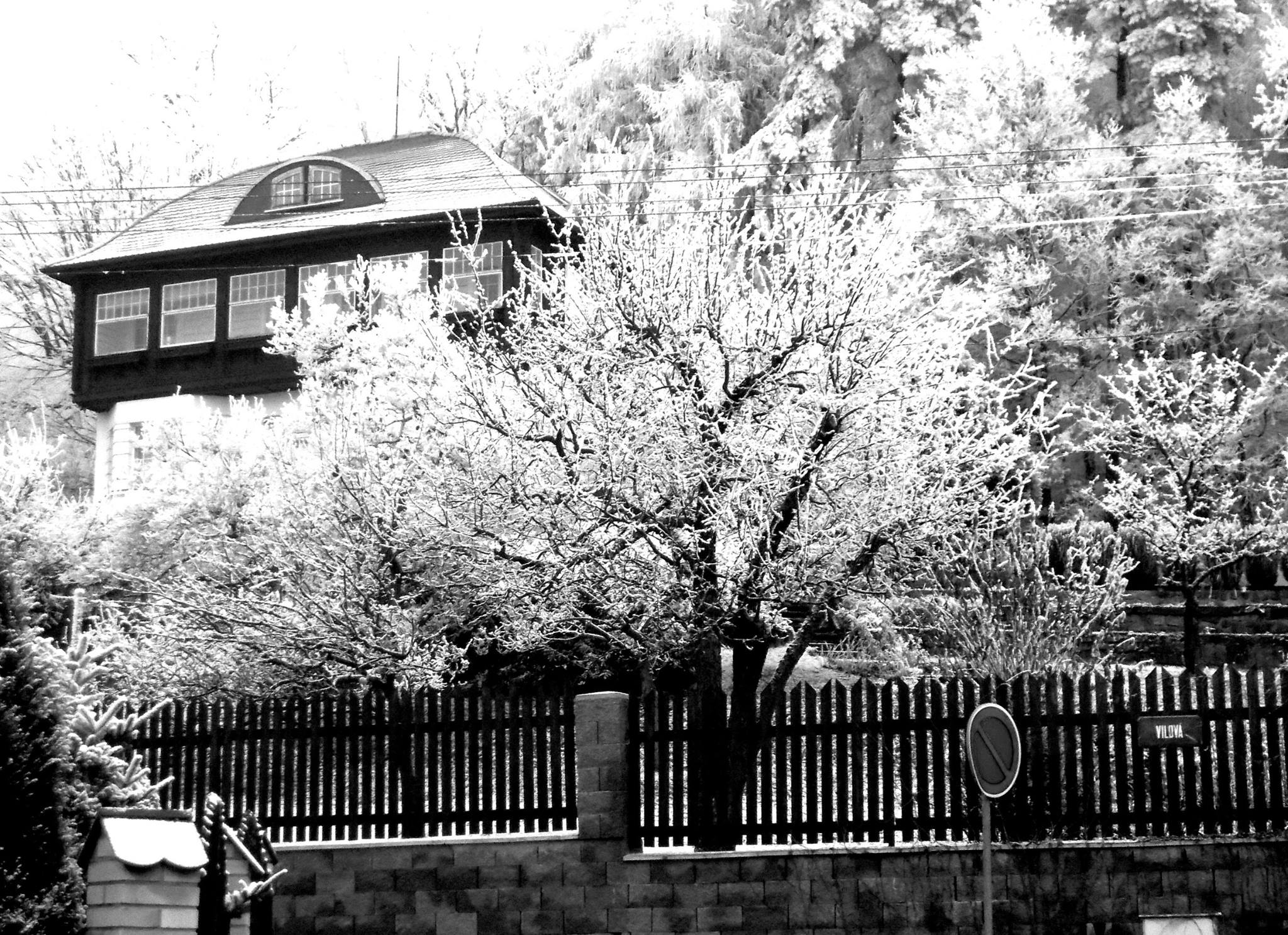 akad.malíř Vladimir Klein foto 2