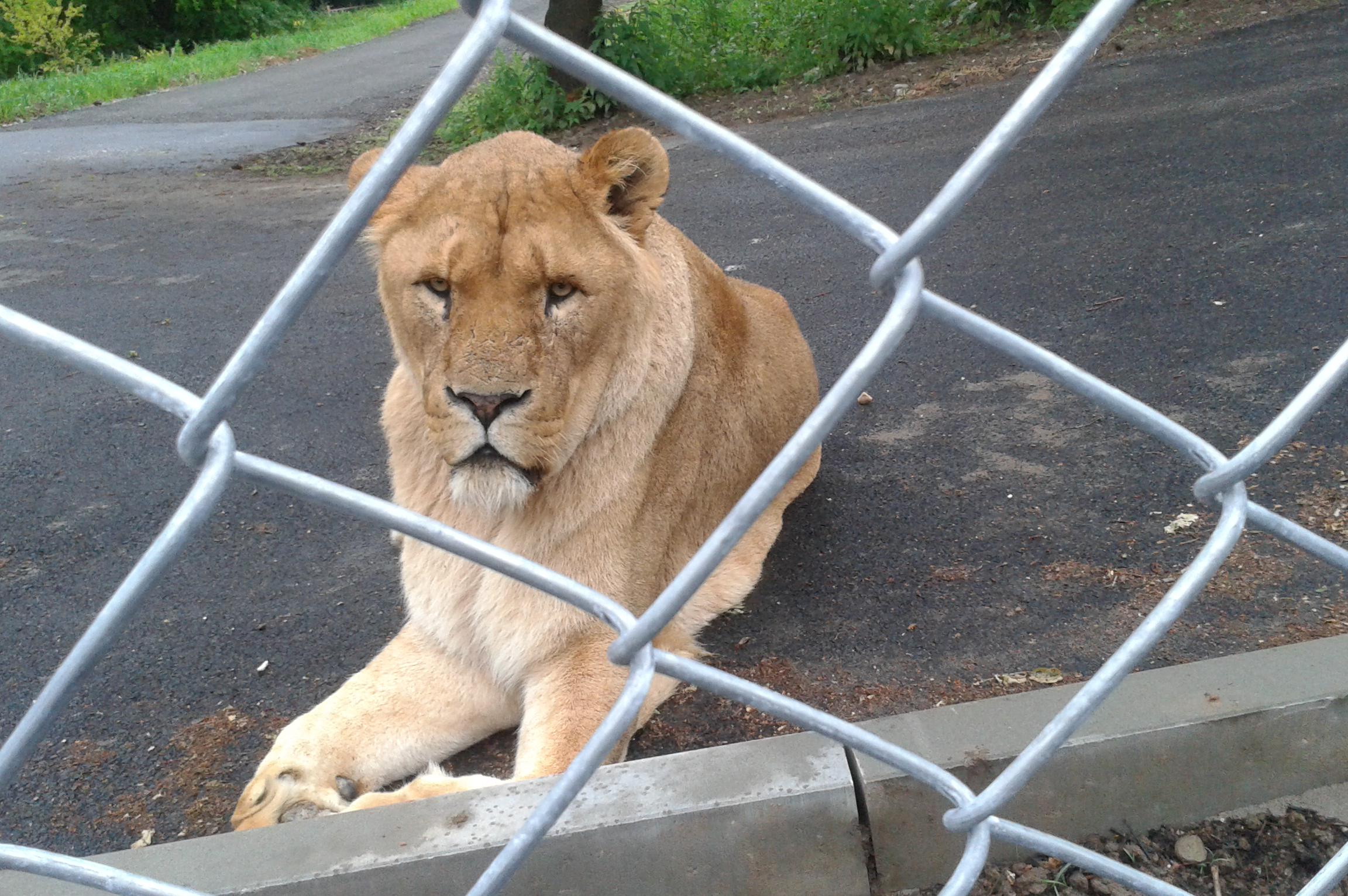 Honc CZ s.r.o. foto 1