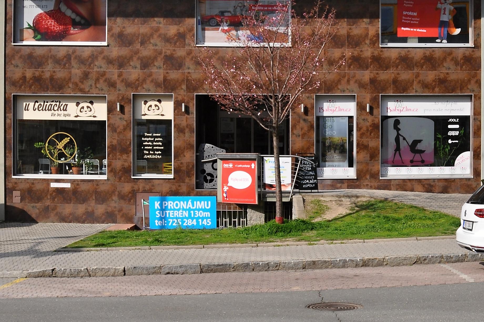 Mgr. Michala Doleželová