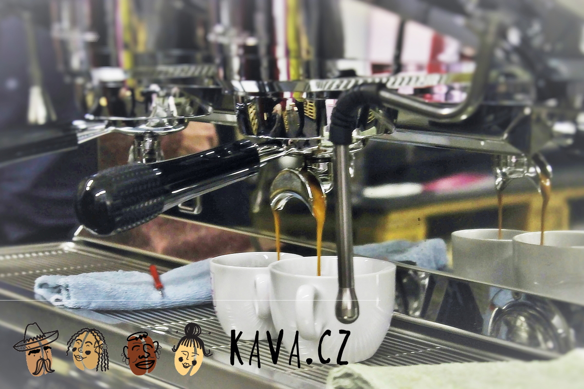 Kava.cz