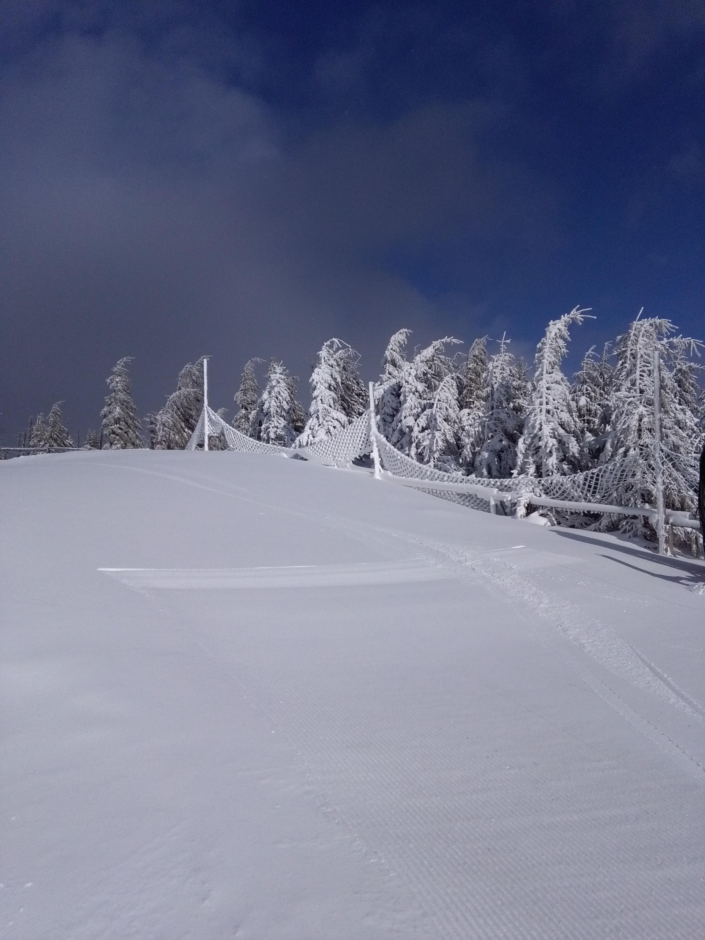 Restaurace SKiMU House foto 2