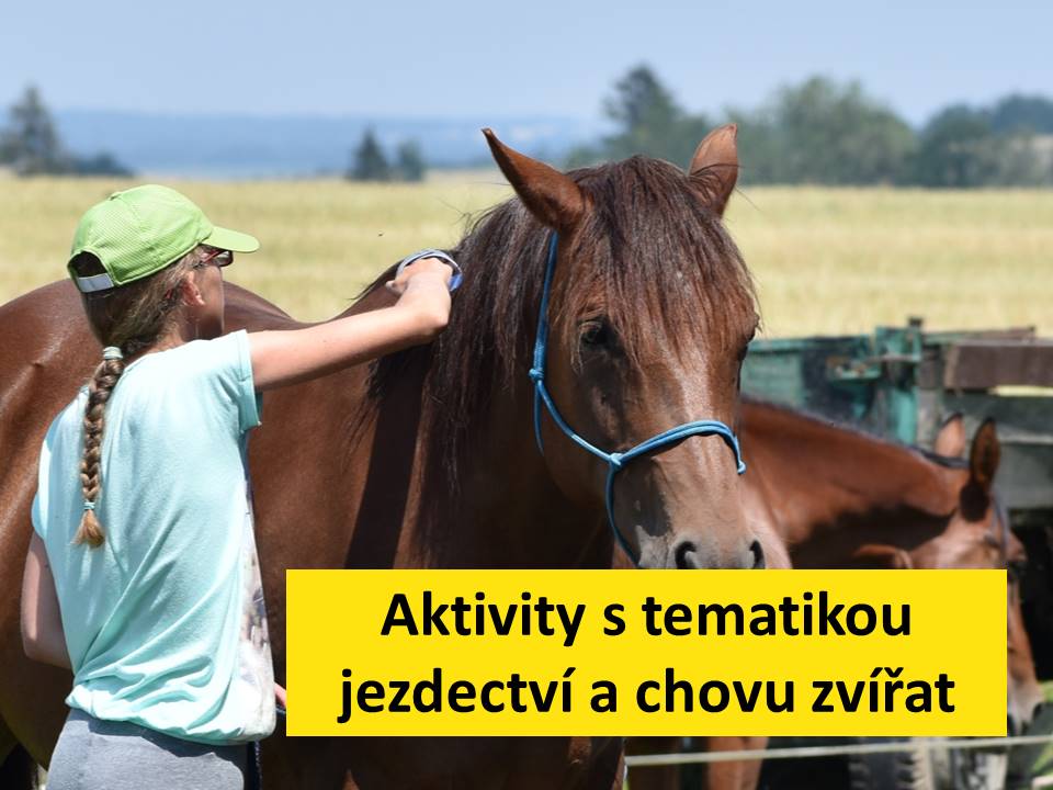 KONÍČEK, o.p.s. foto 5