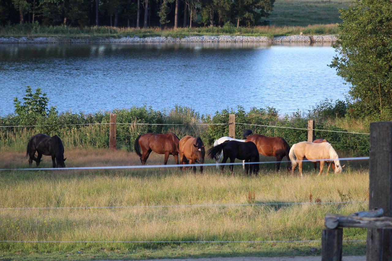 Ekofarma Šťástkovi