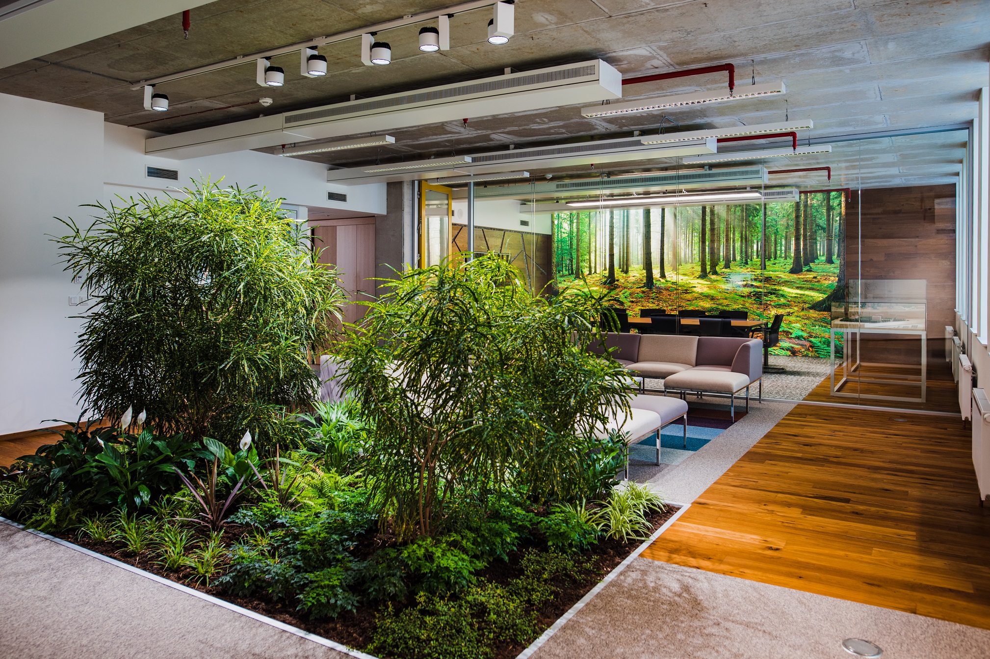 AREAL SLATINA, a.s. foto 2