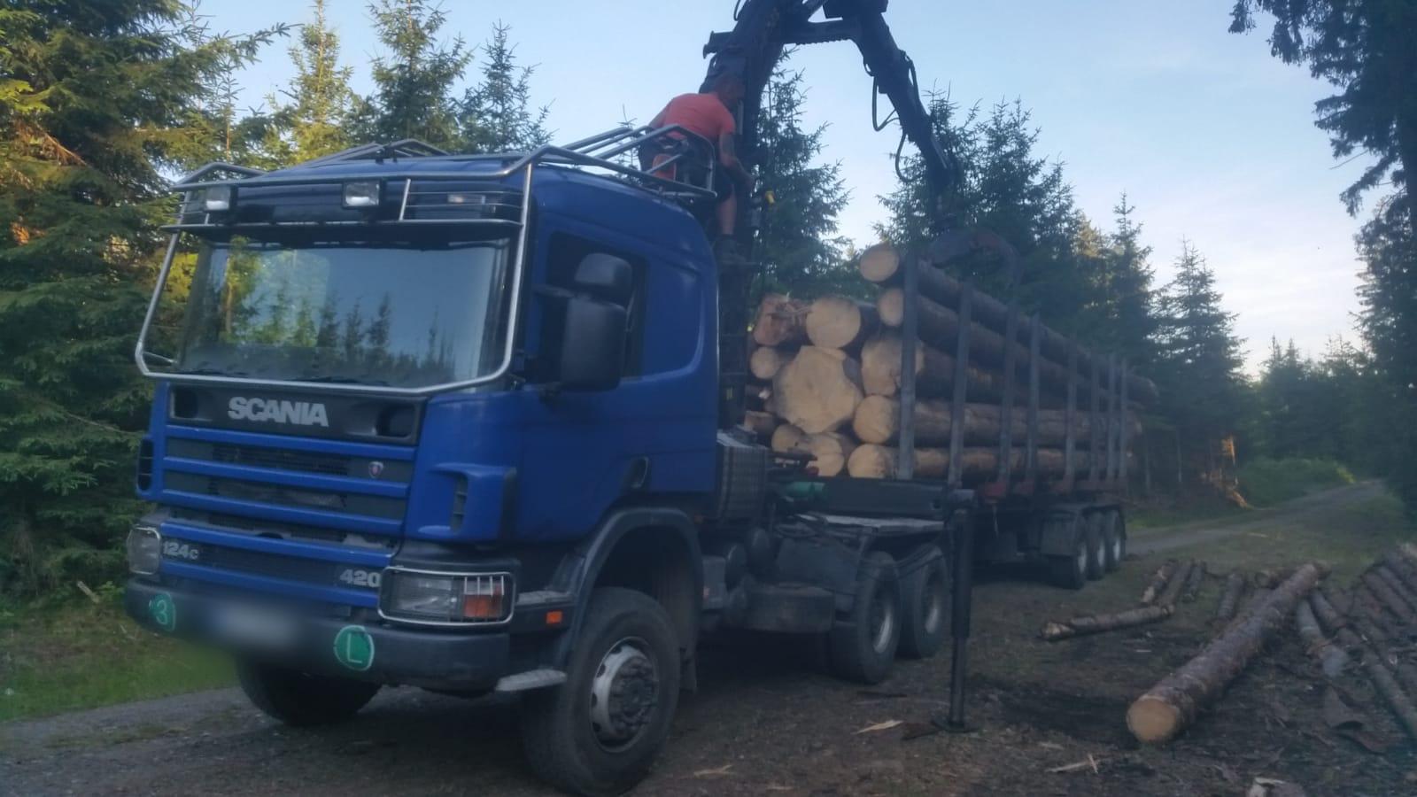Dřevo Planěk foto 6