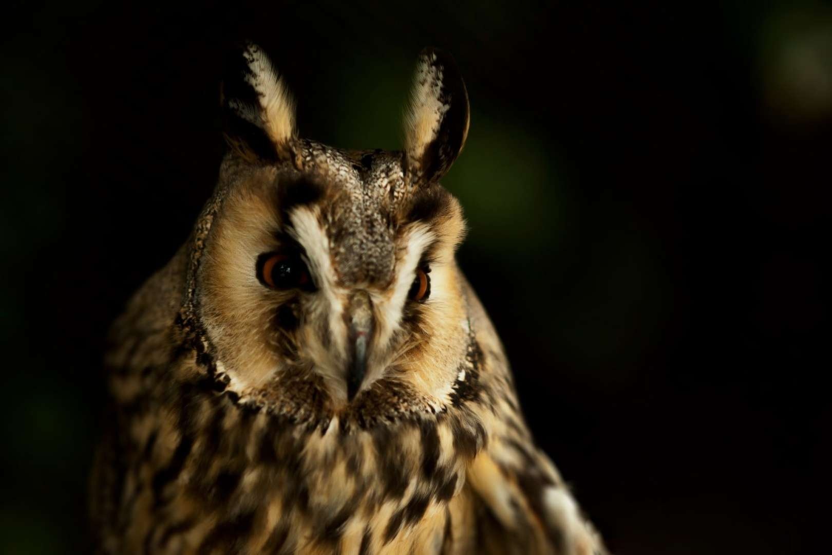 Radek Cieslar - erphoto.cz foto 2