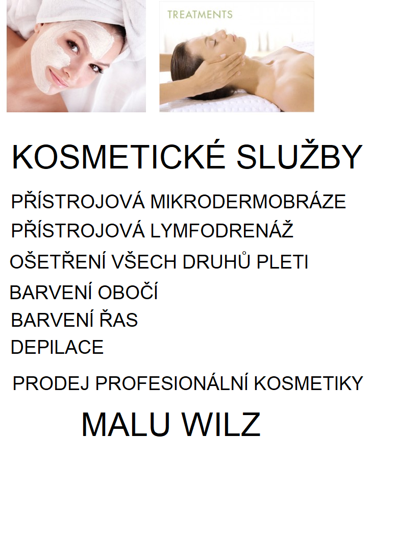 Hana Geisler foto 5