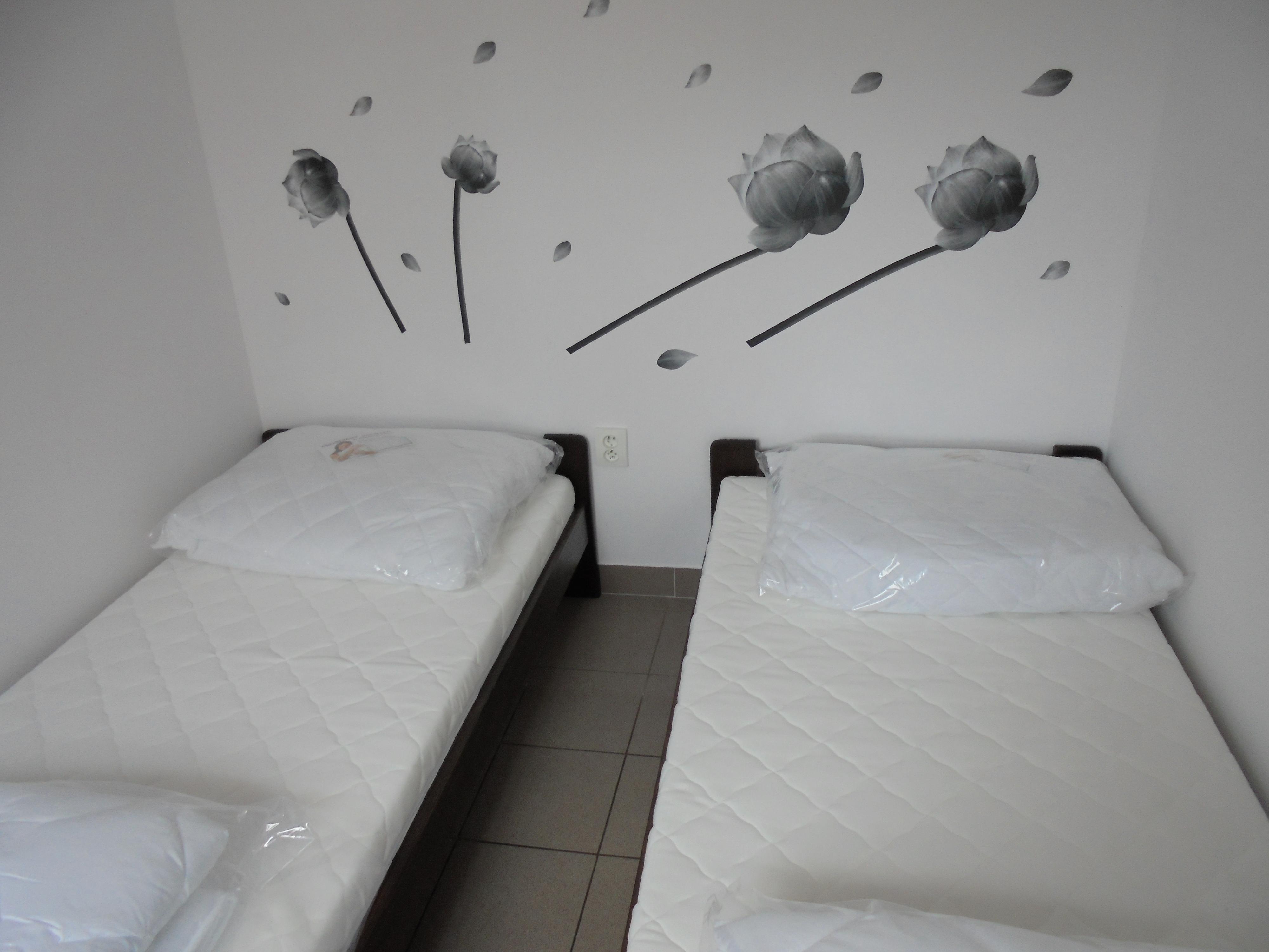 Ubytování u Langrů ve Velkém Oseku foto 2