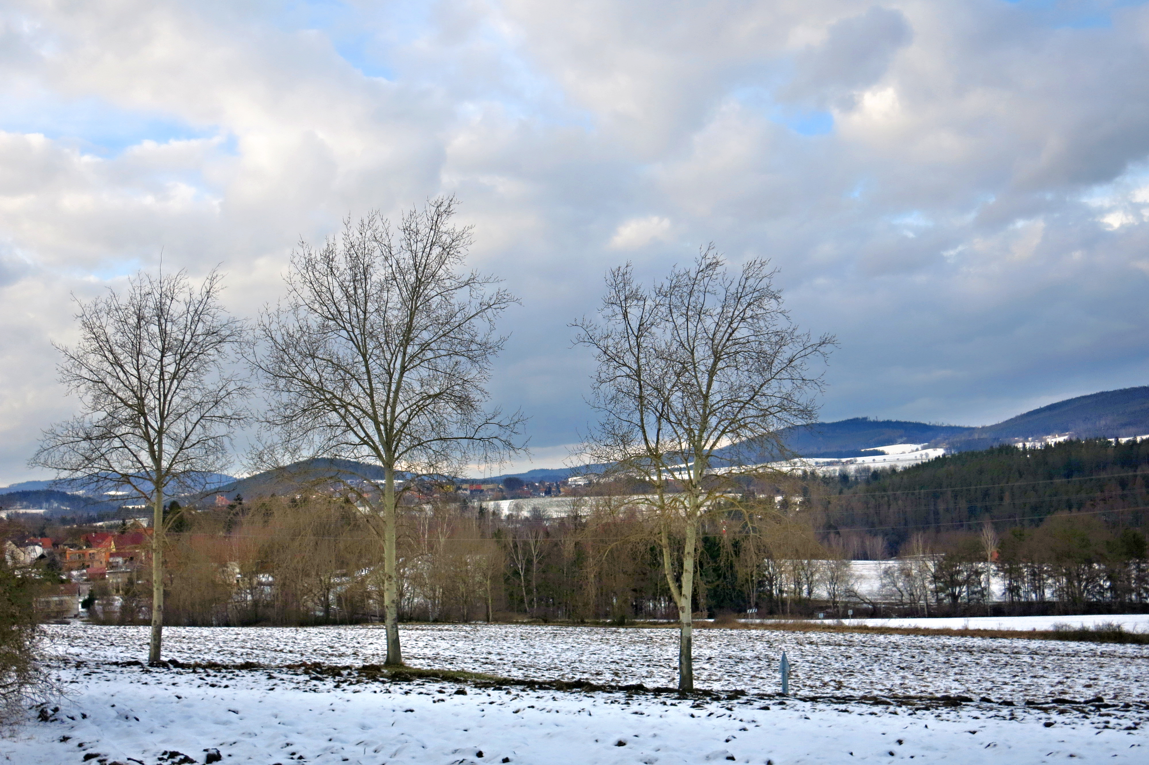 Holubov - obecní úřad foto 6
